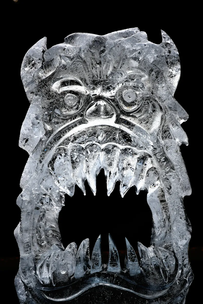 Entry 15454873