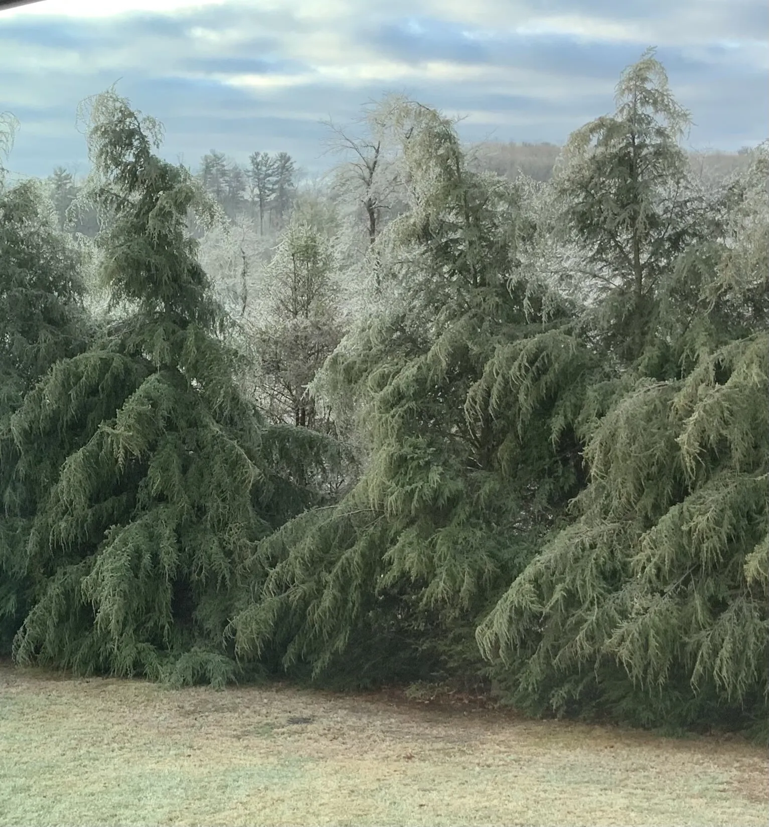 Ice storm