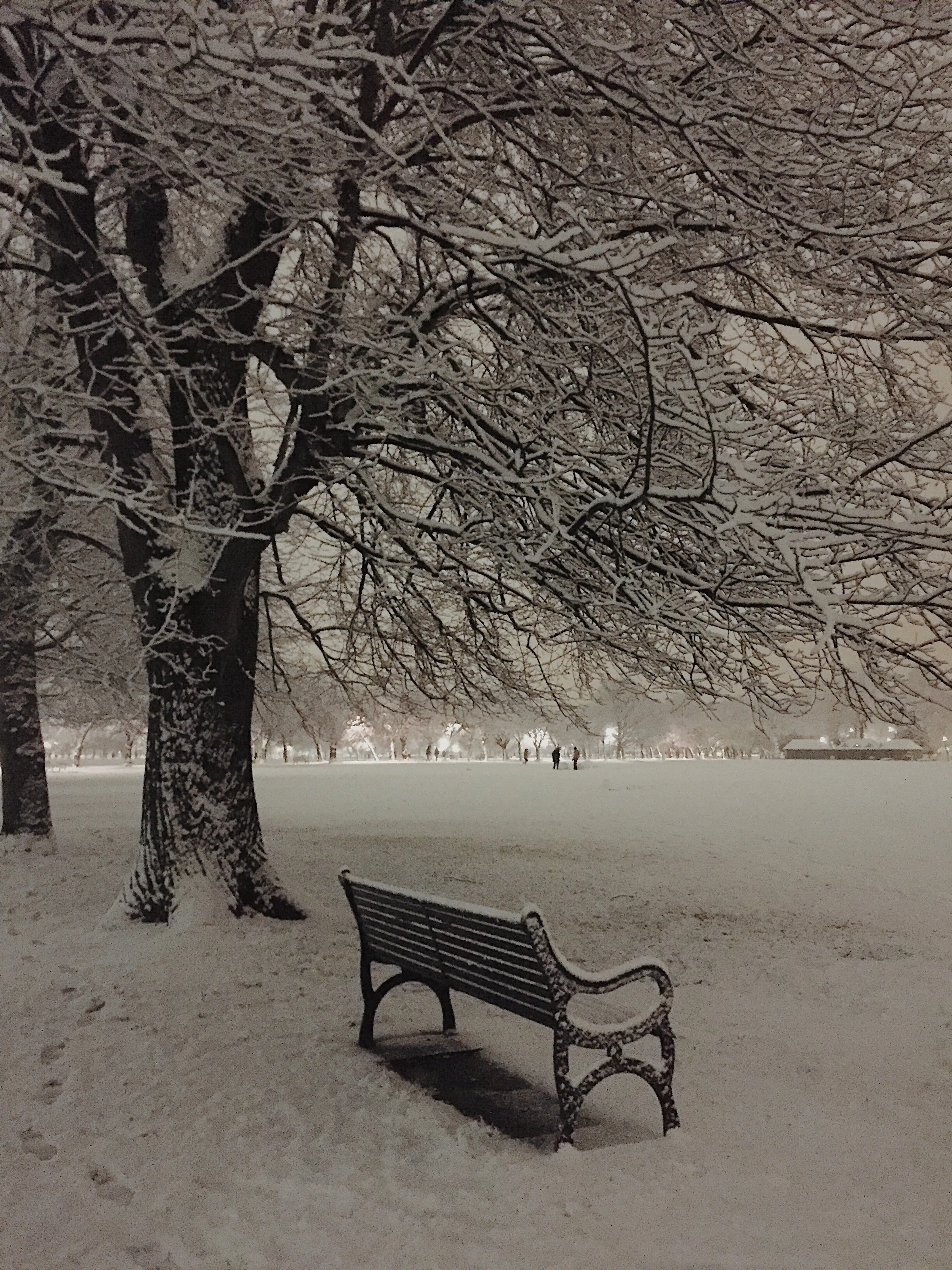Solitude