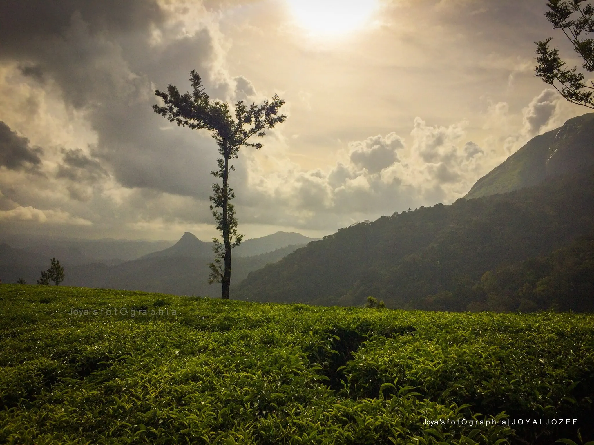 Mobile Photography