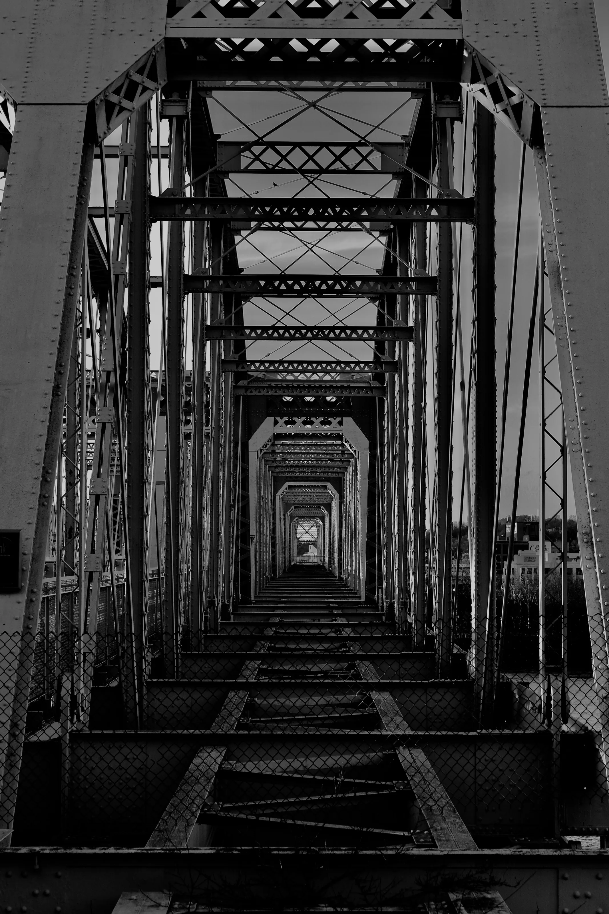 Bridge in Black and White