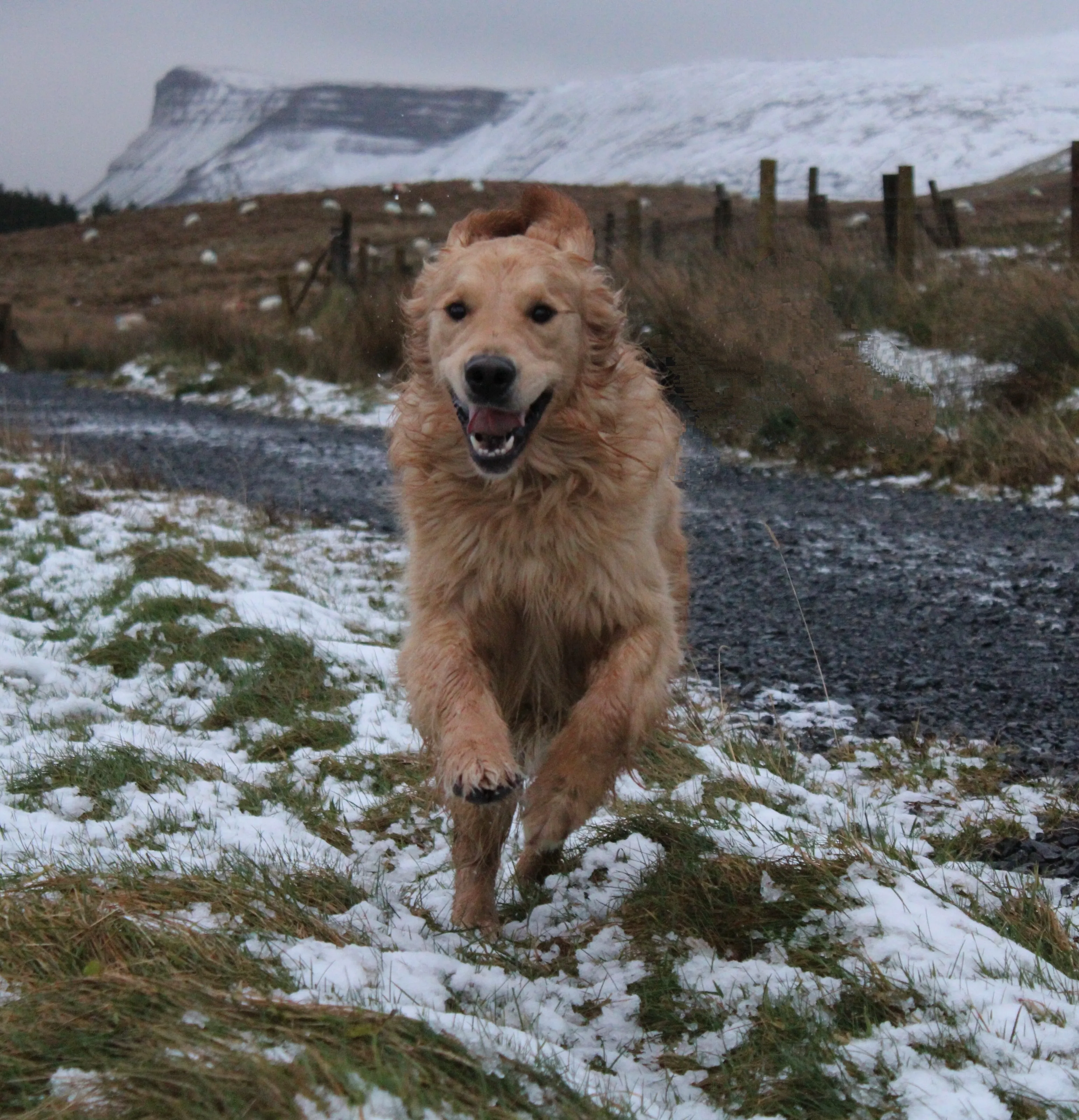 Snow day