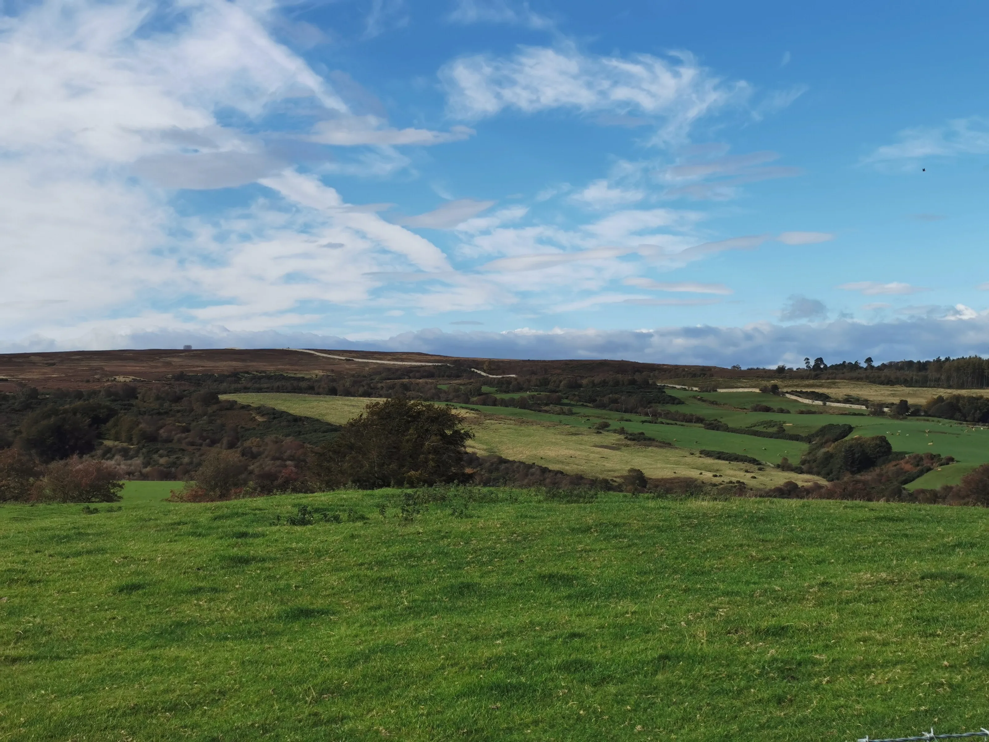 Alnwick K Moore