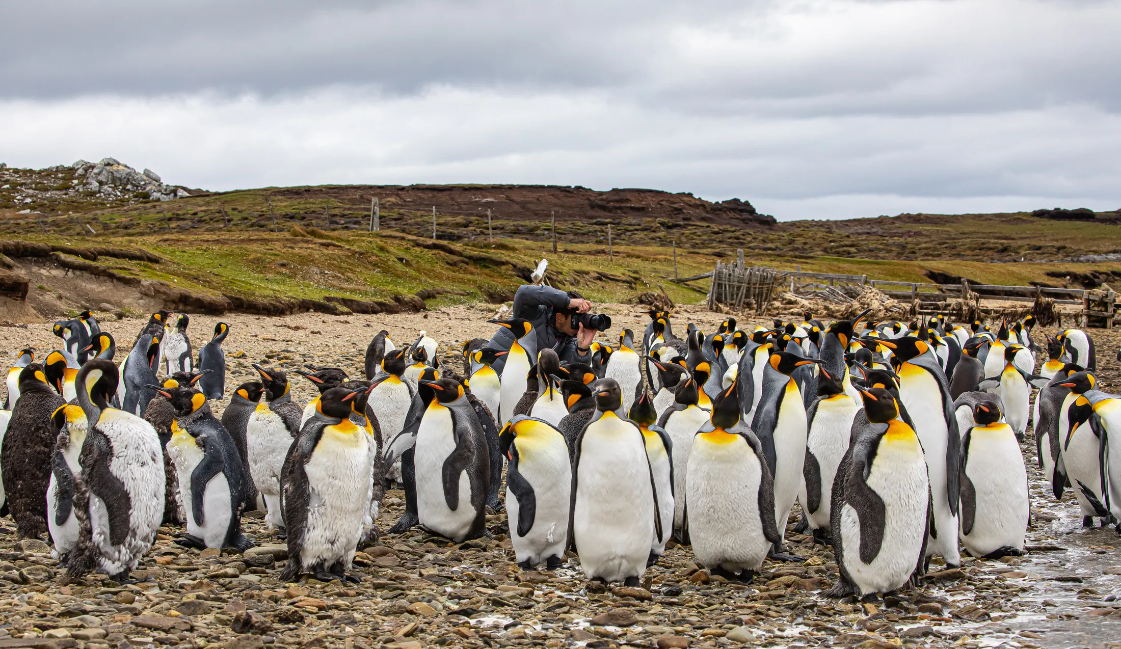 Entry 20425527