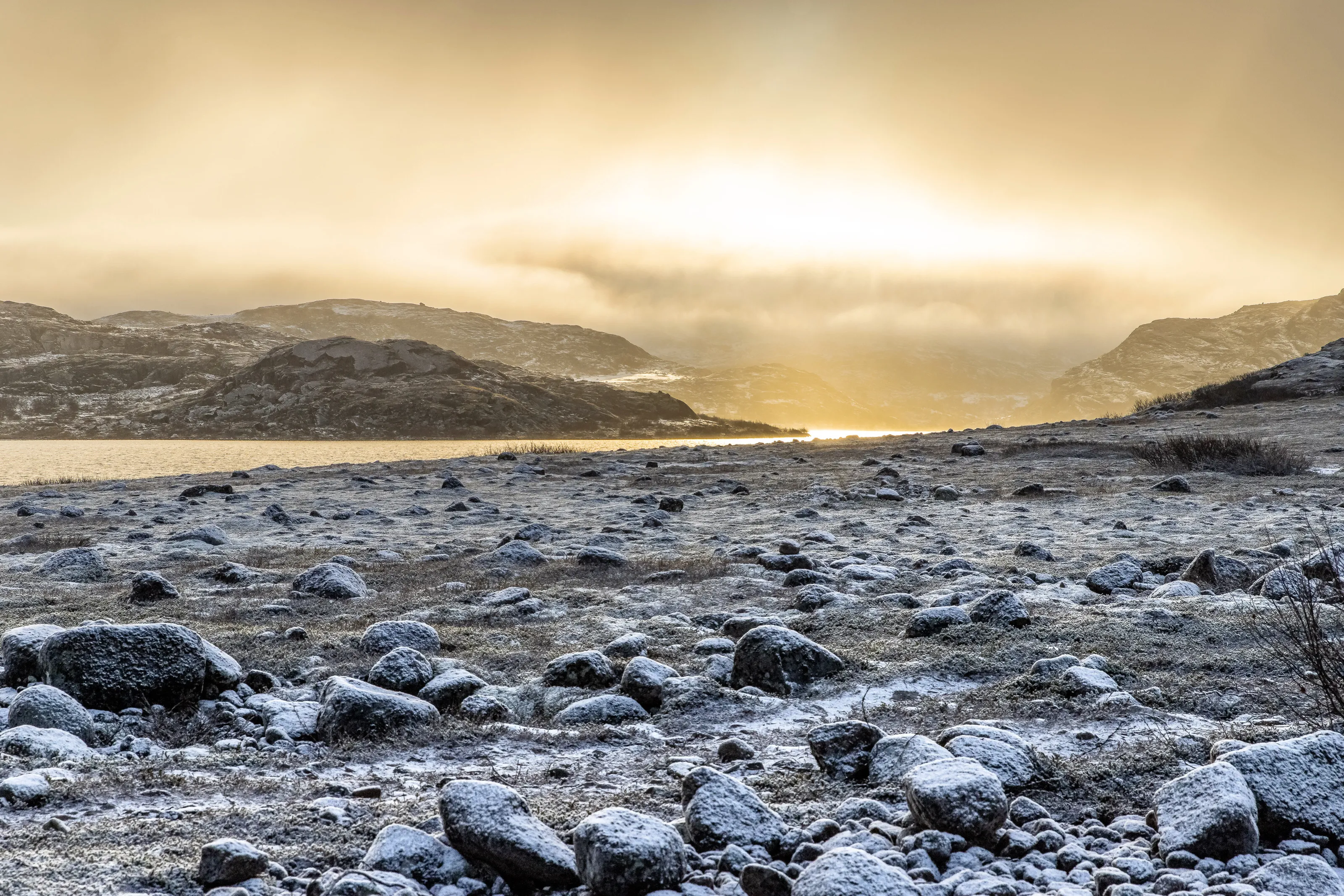 Golden light
