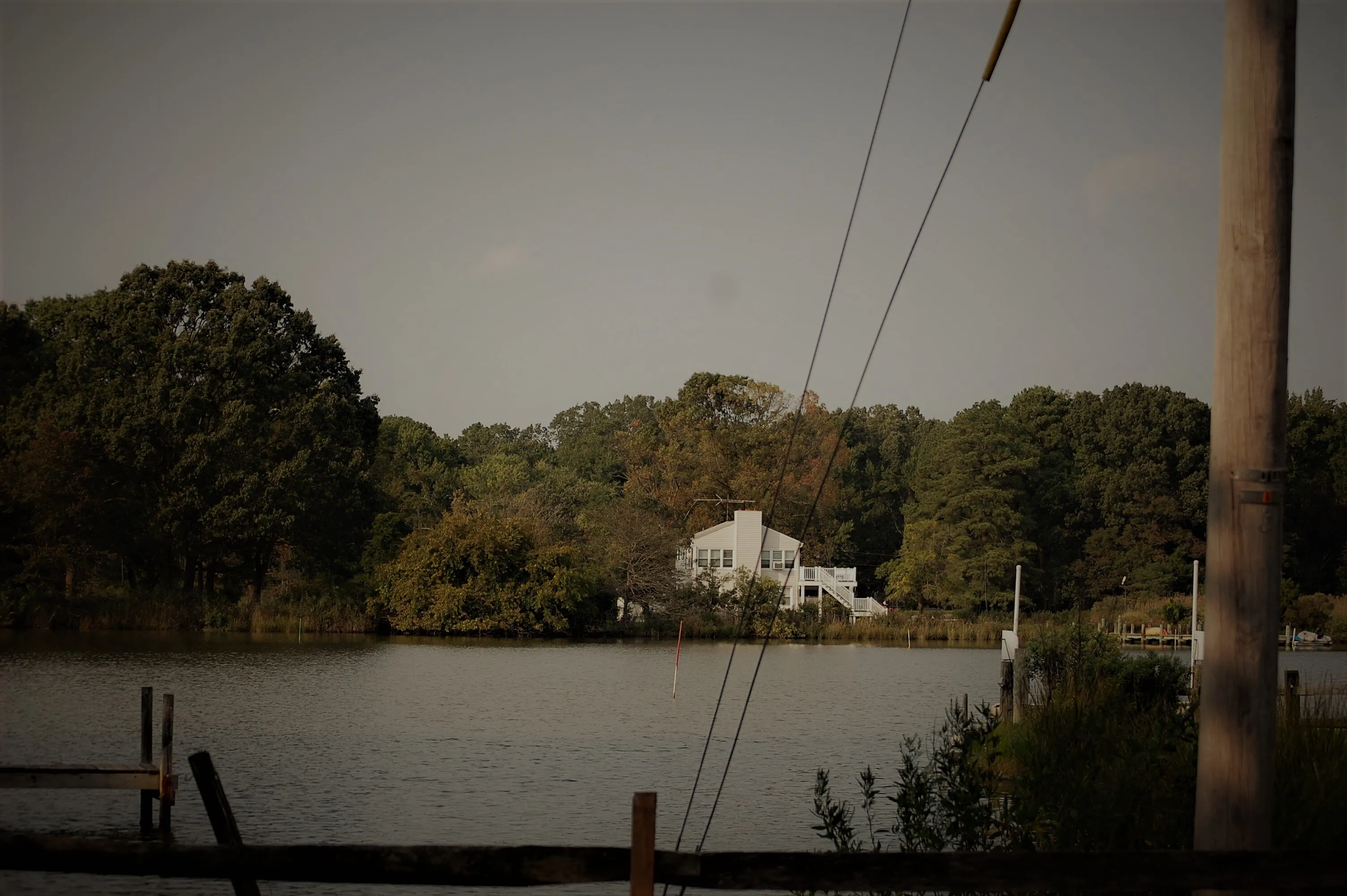 Lake  life