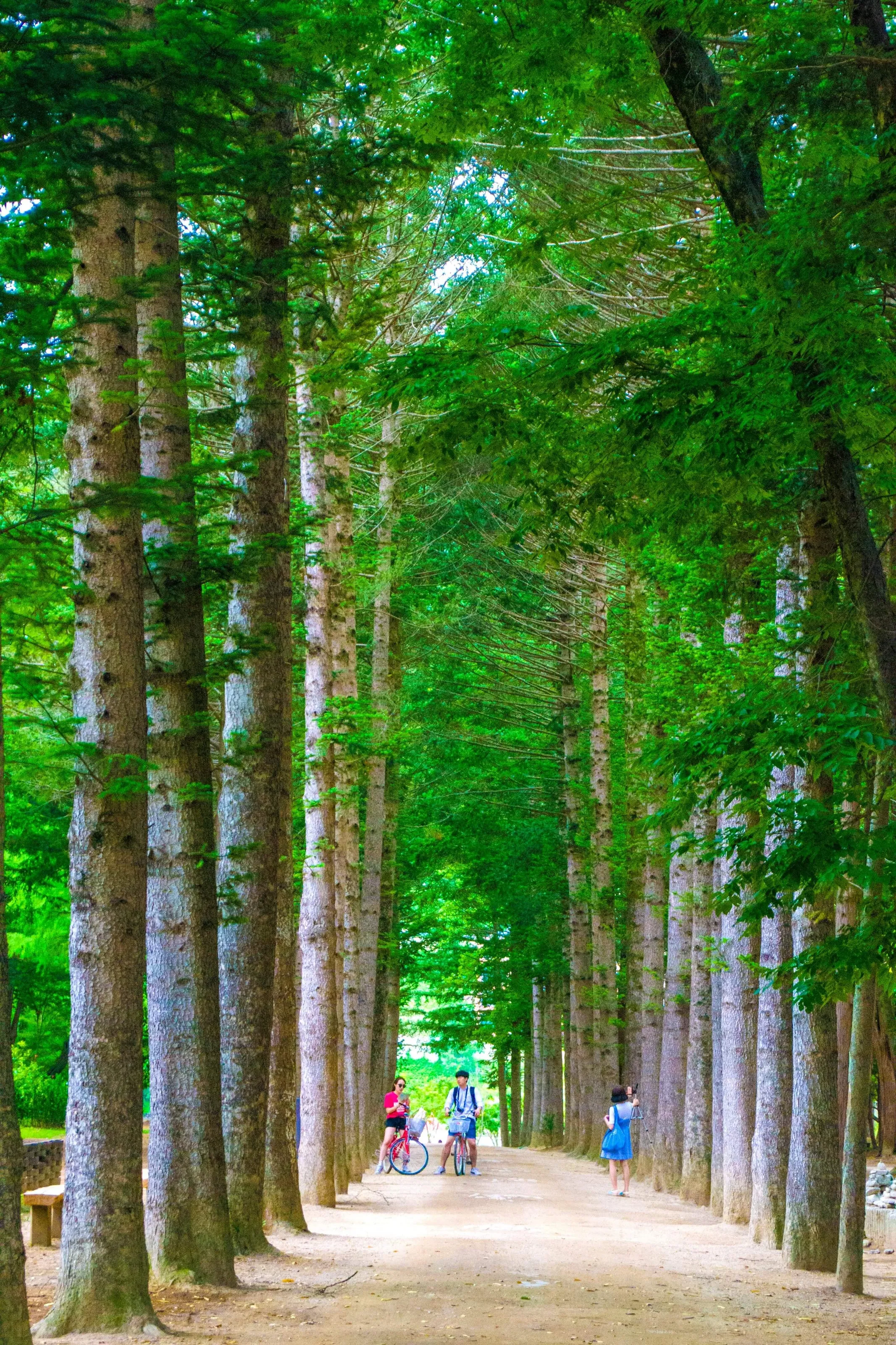 Green field