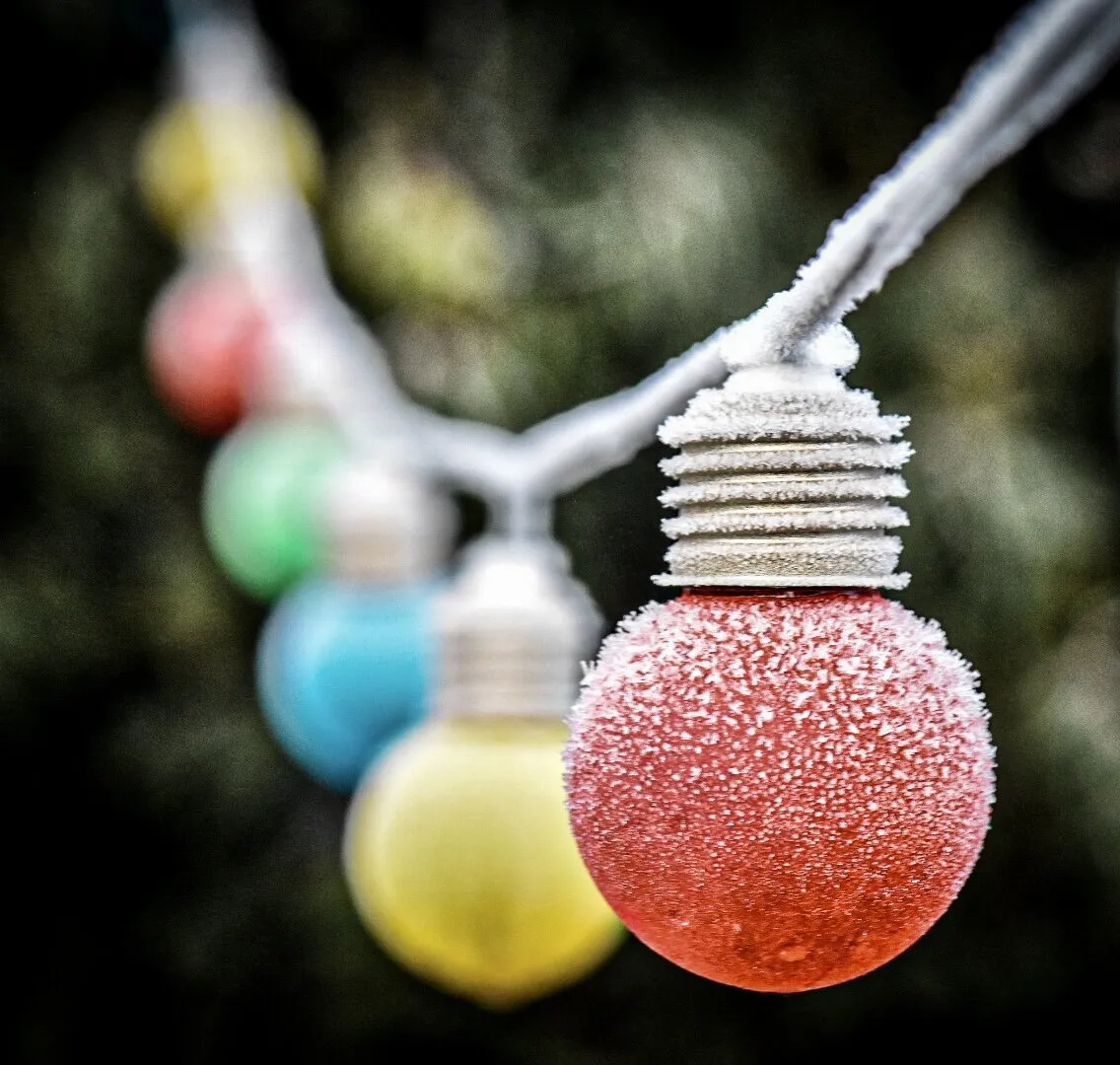 Plastic Festoon Lights