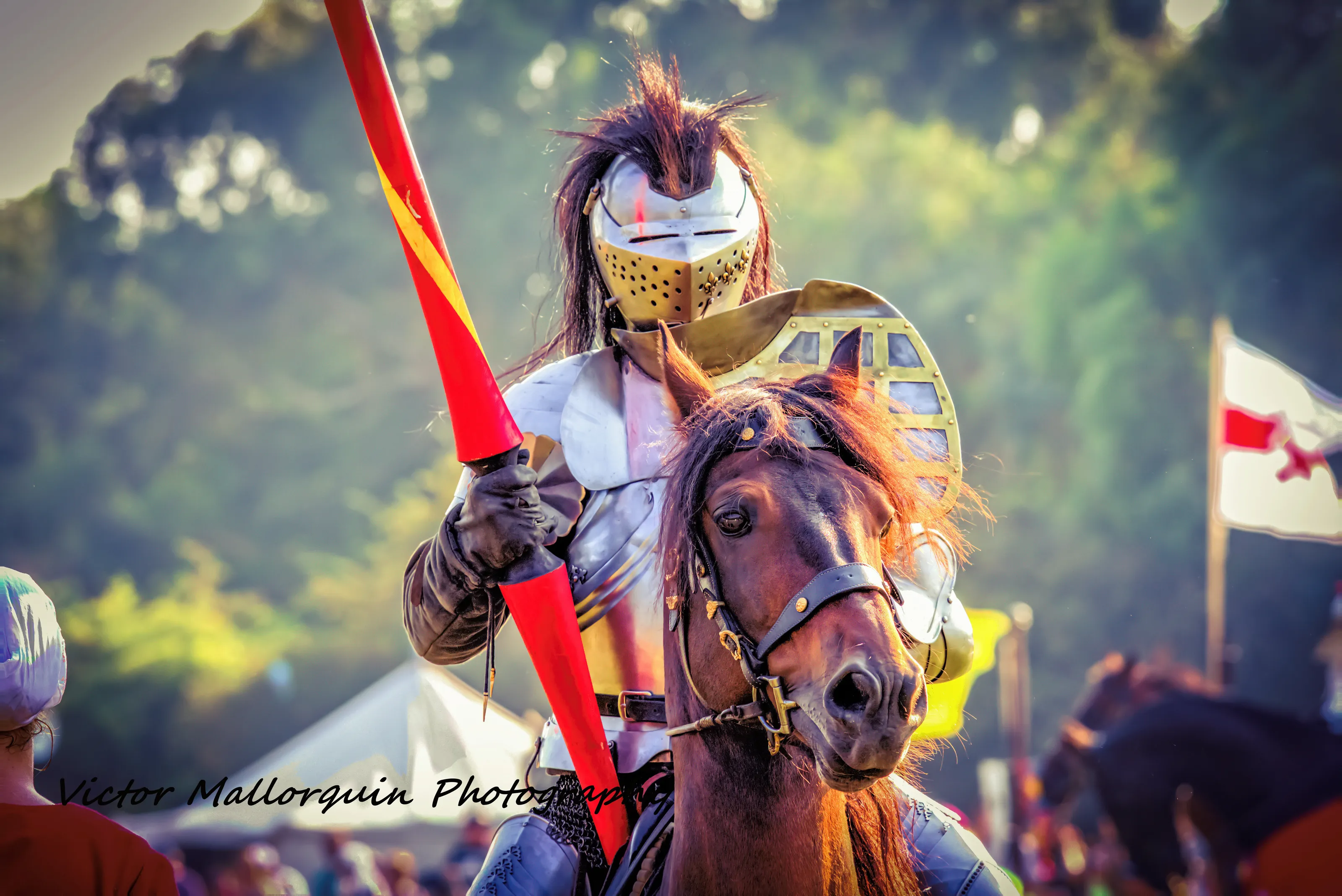 Jousting Knight