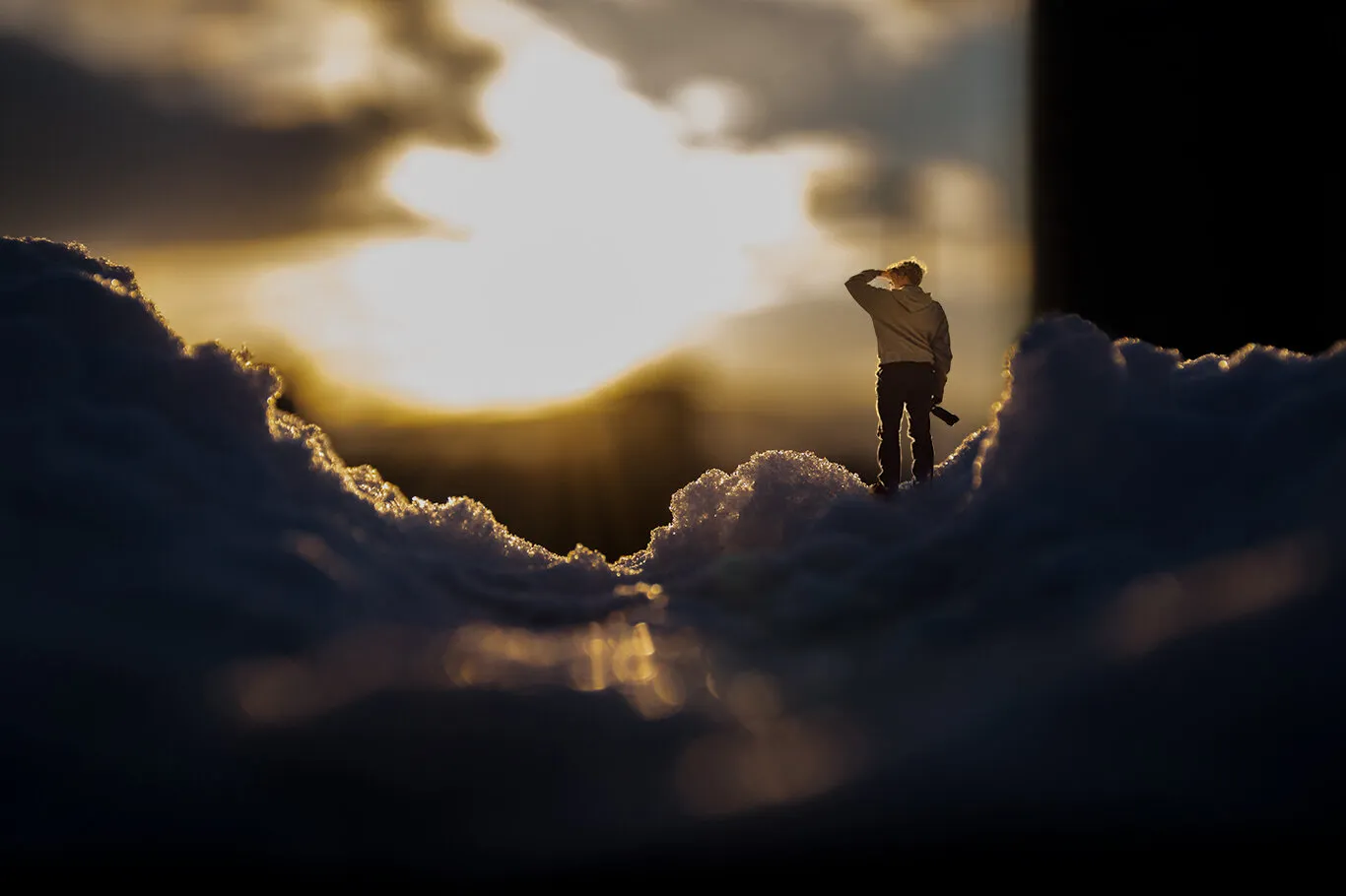 Banner image
