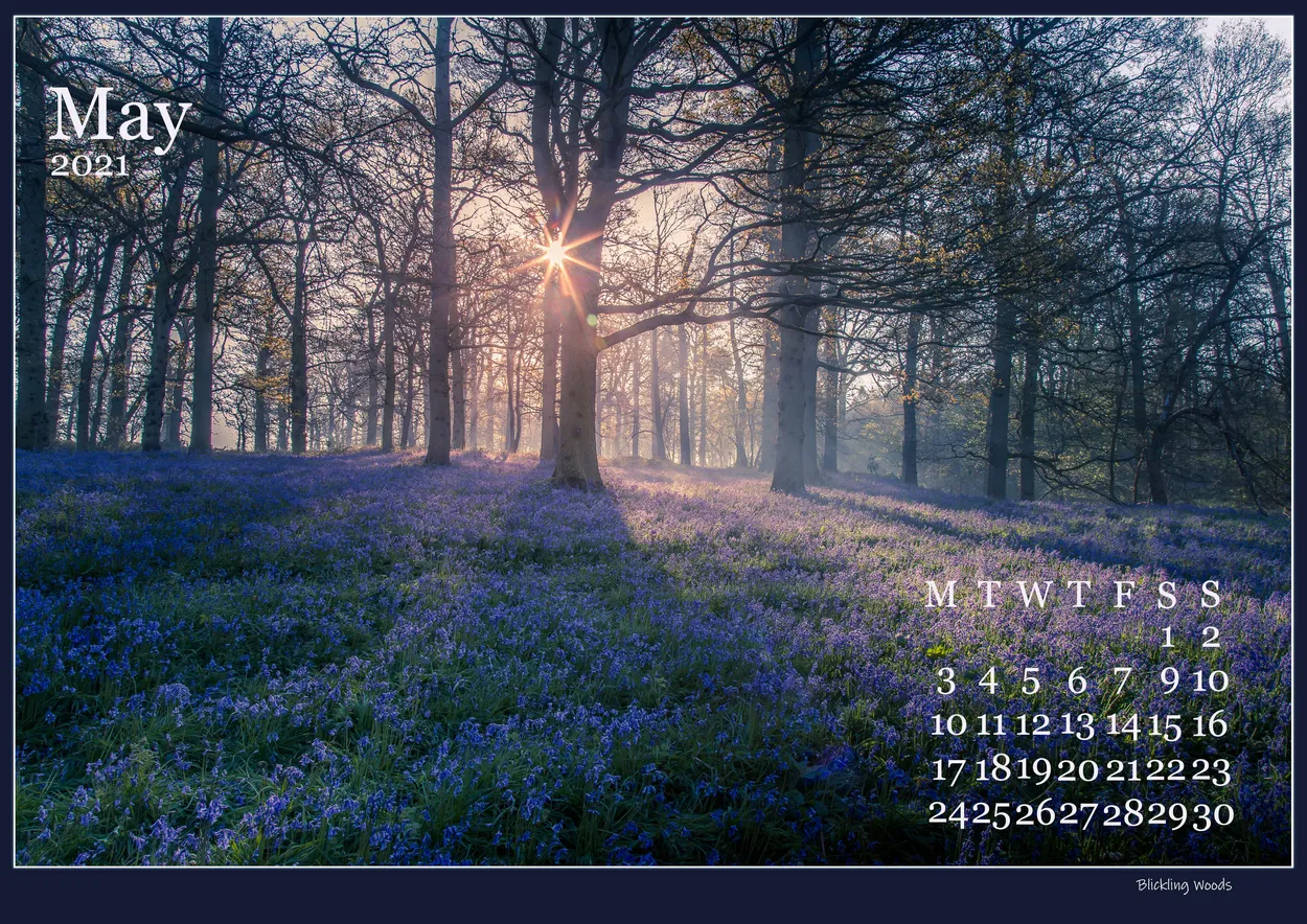 Entry 8405226