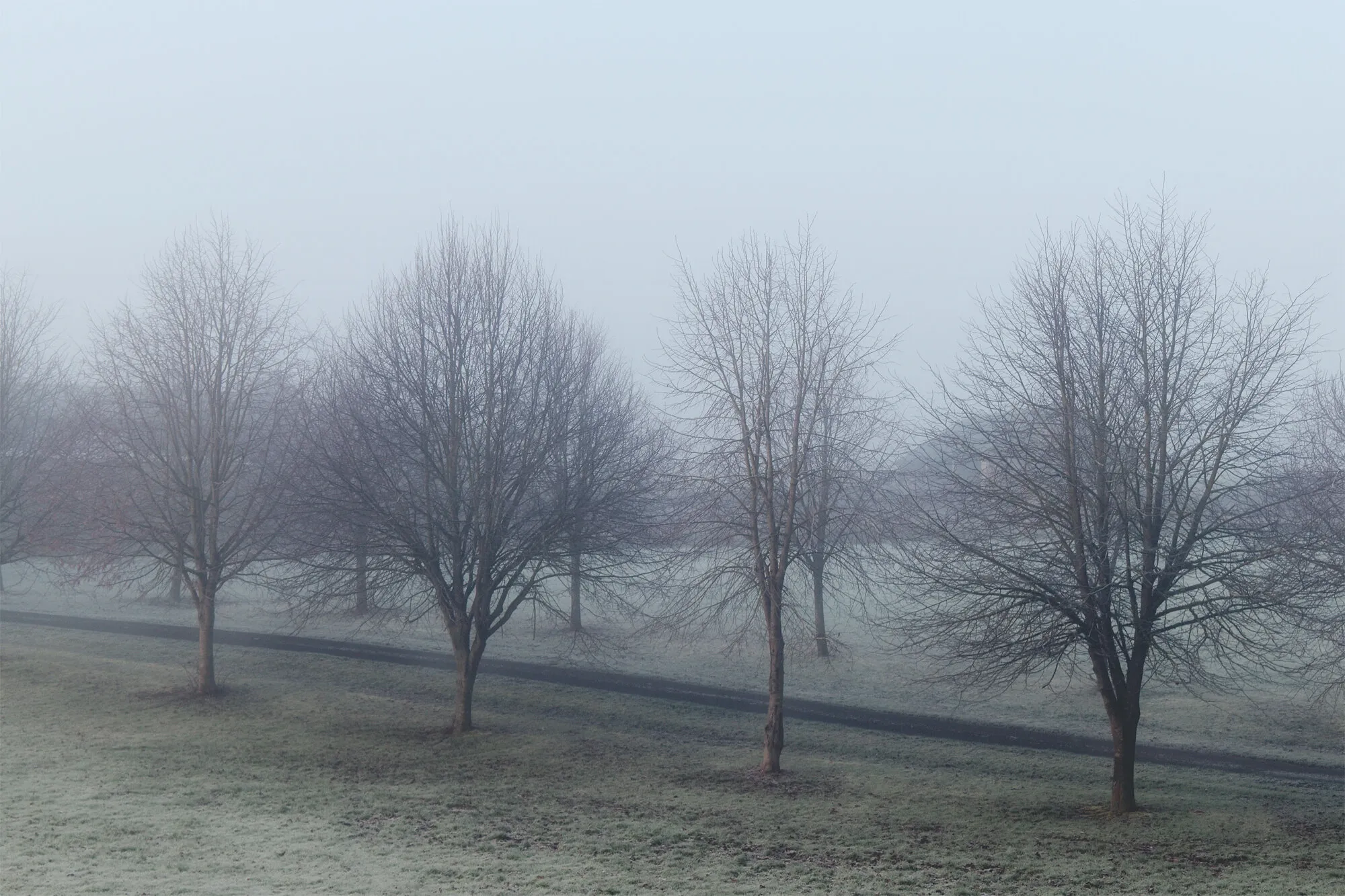 Drive in morning fog