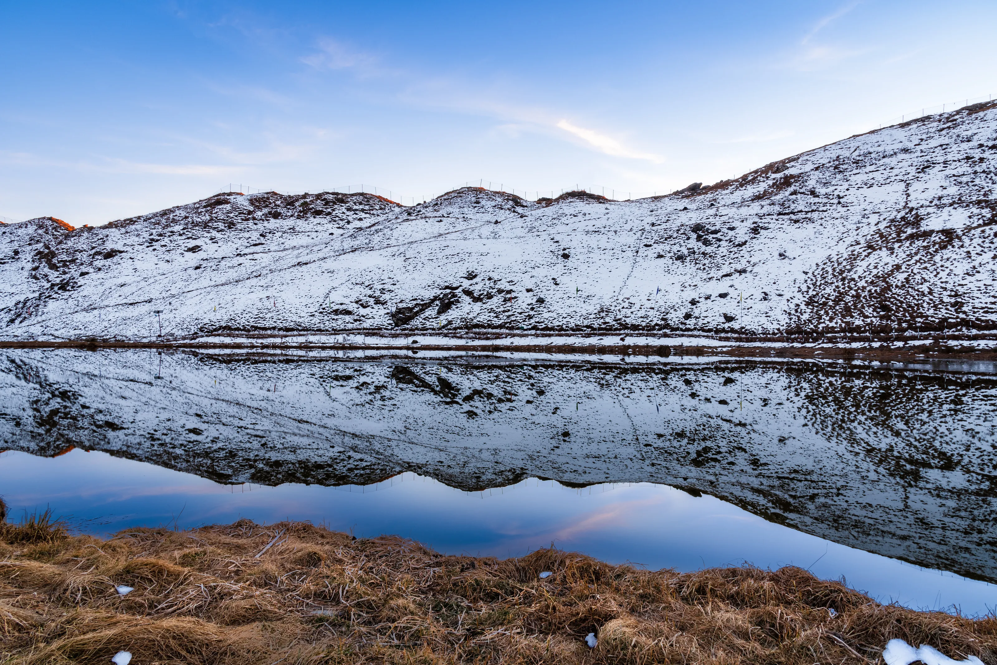 Reflection in the Lake