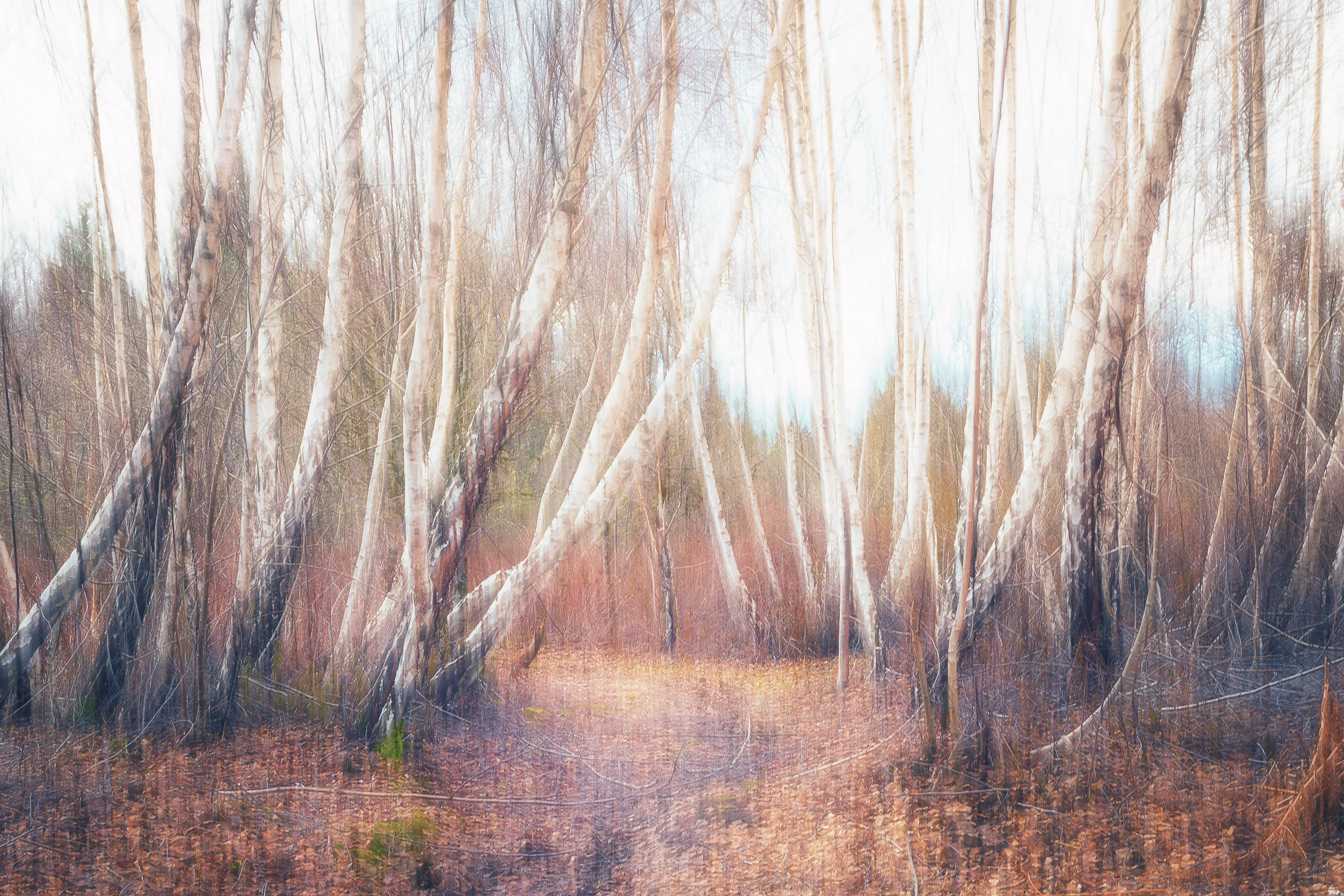 Secret path