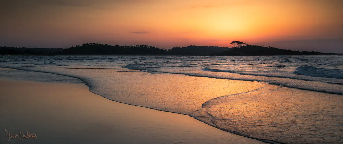 Entry 452990