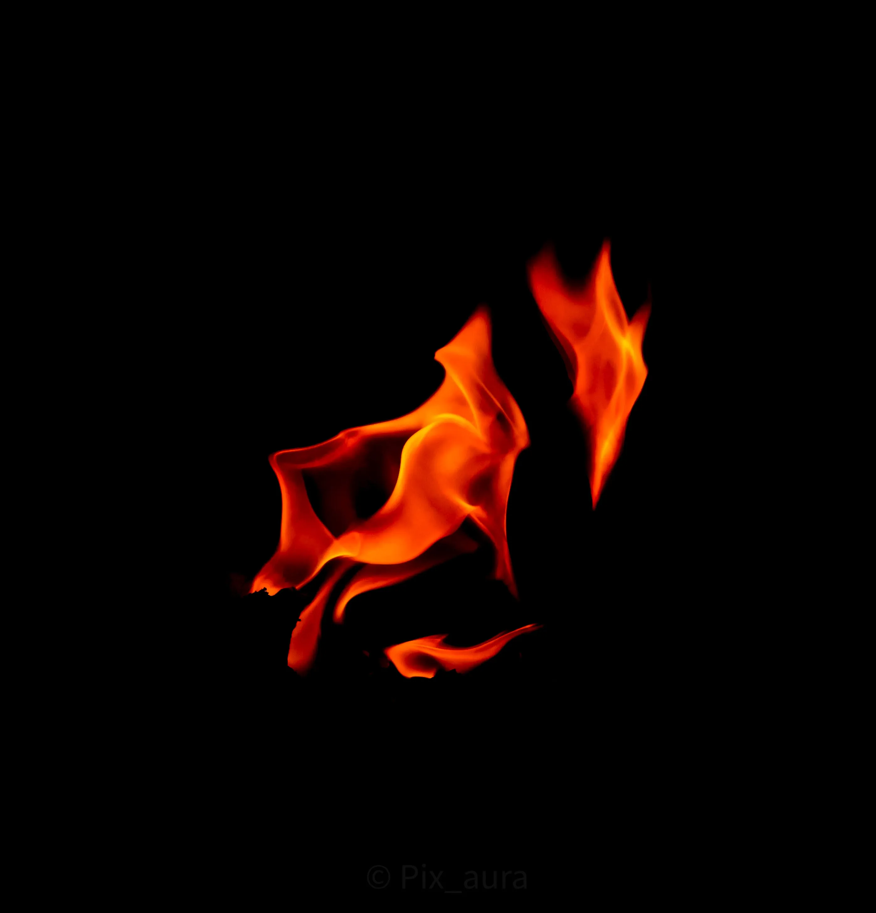 Horse on Fire