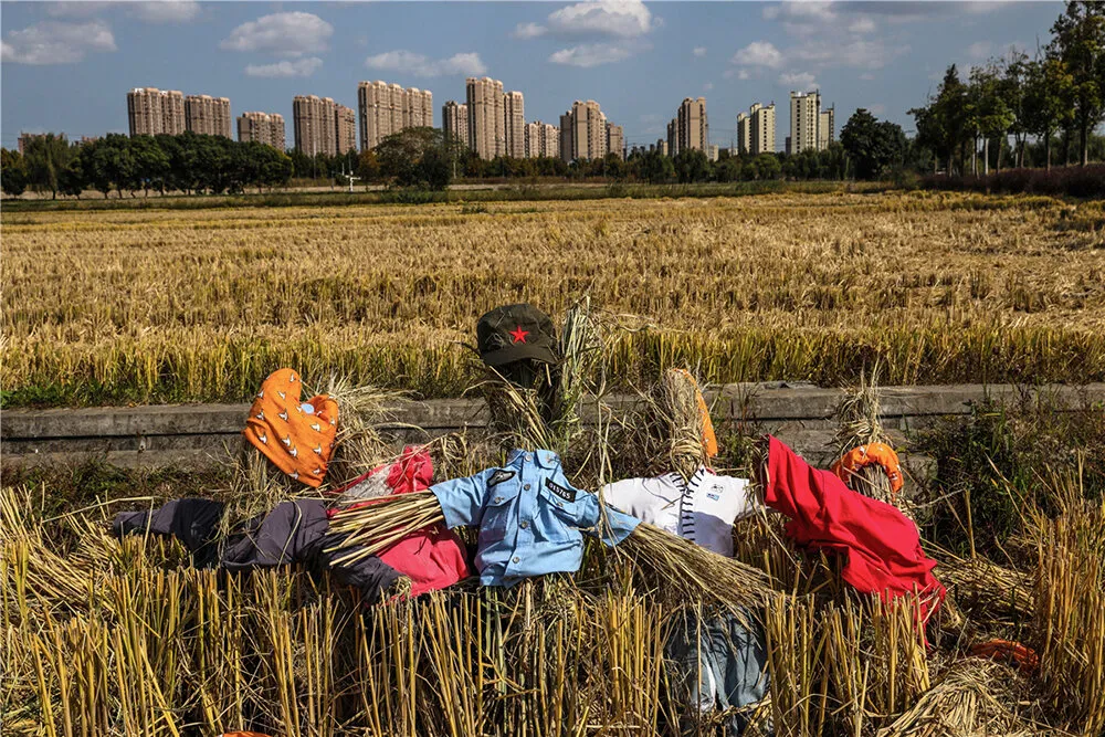 Scarecrows