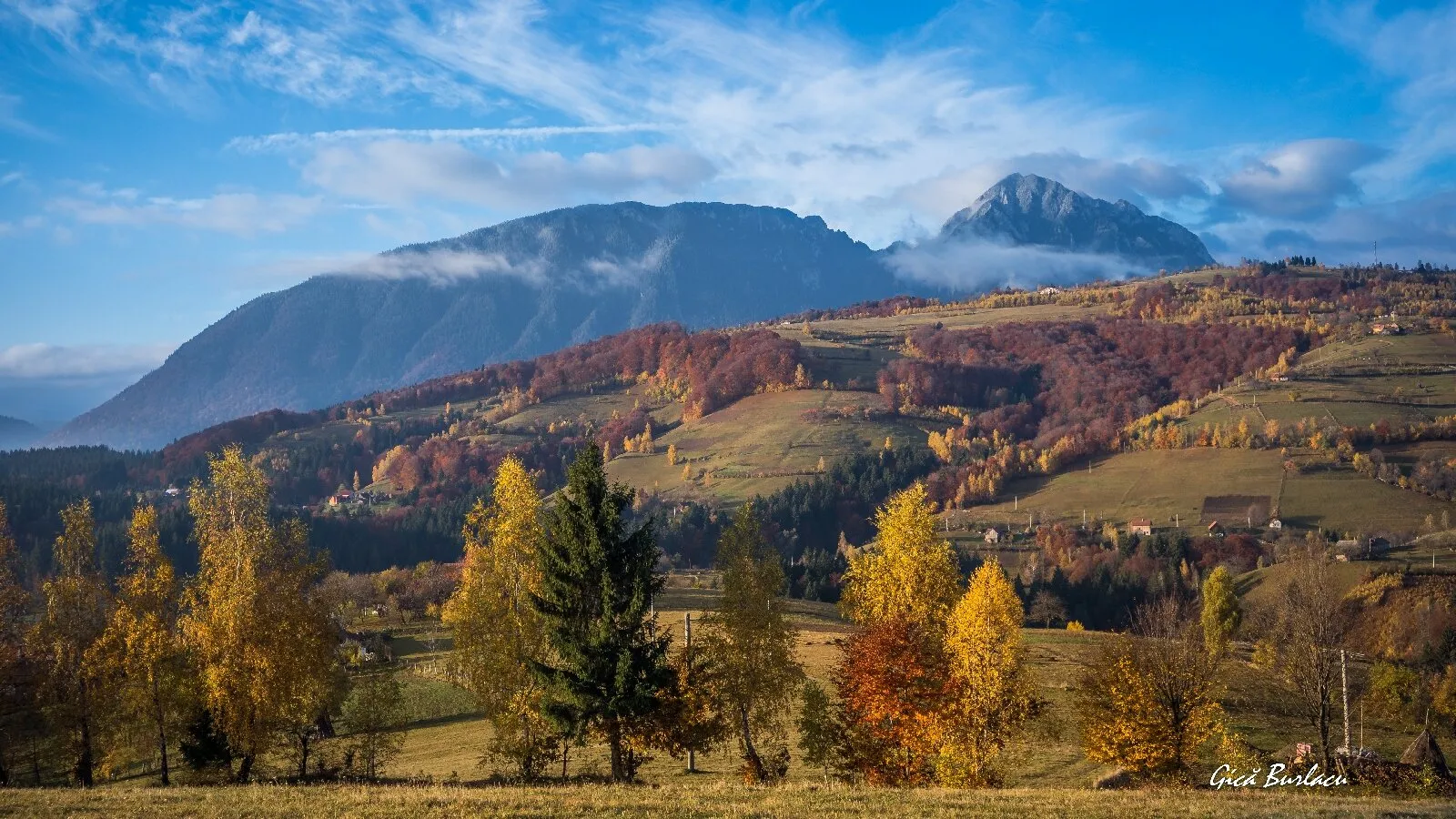 Landscape the autumn