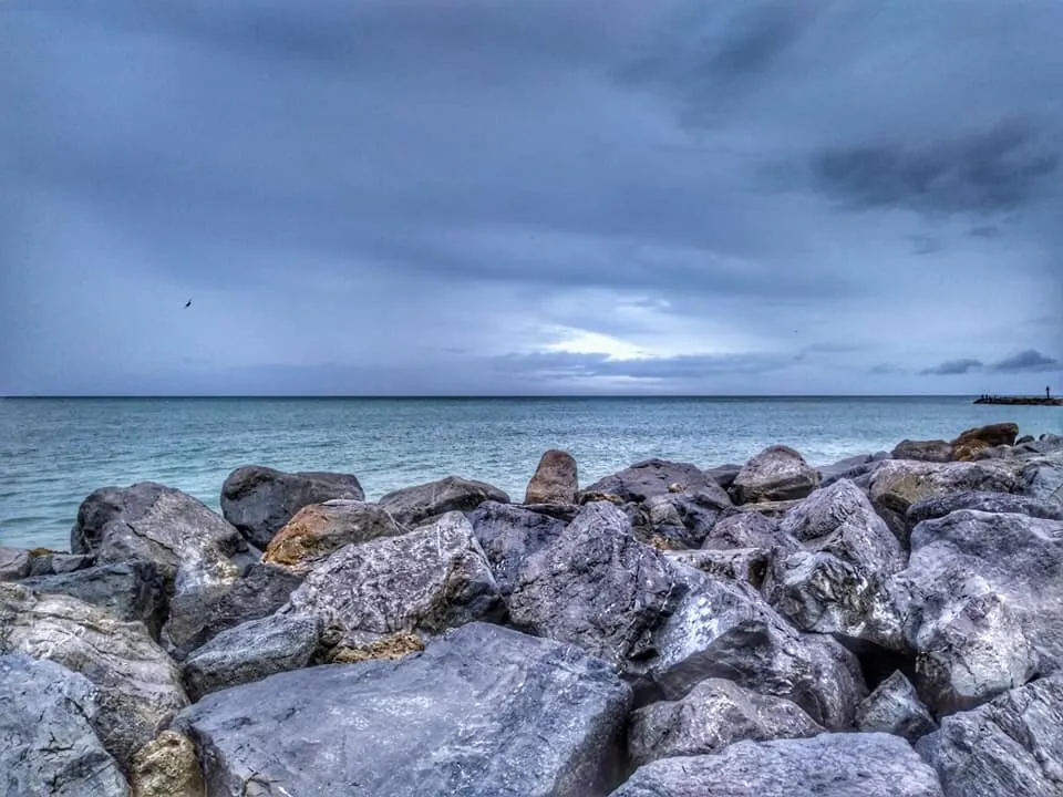 Venice Jetty