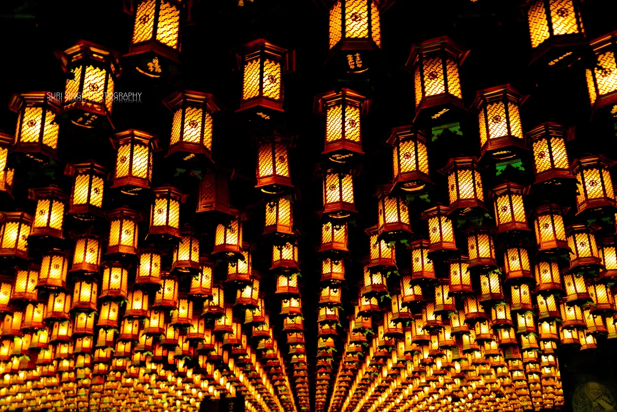 The Lanterns