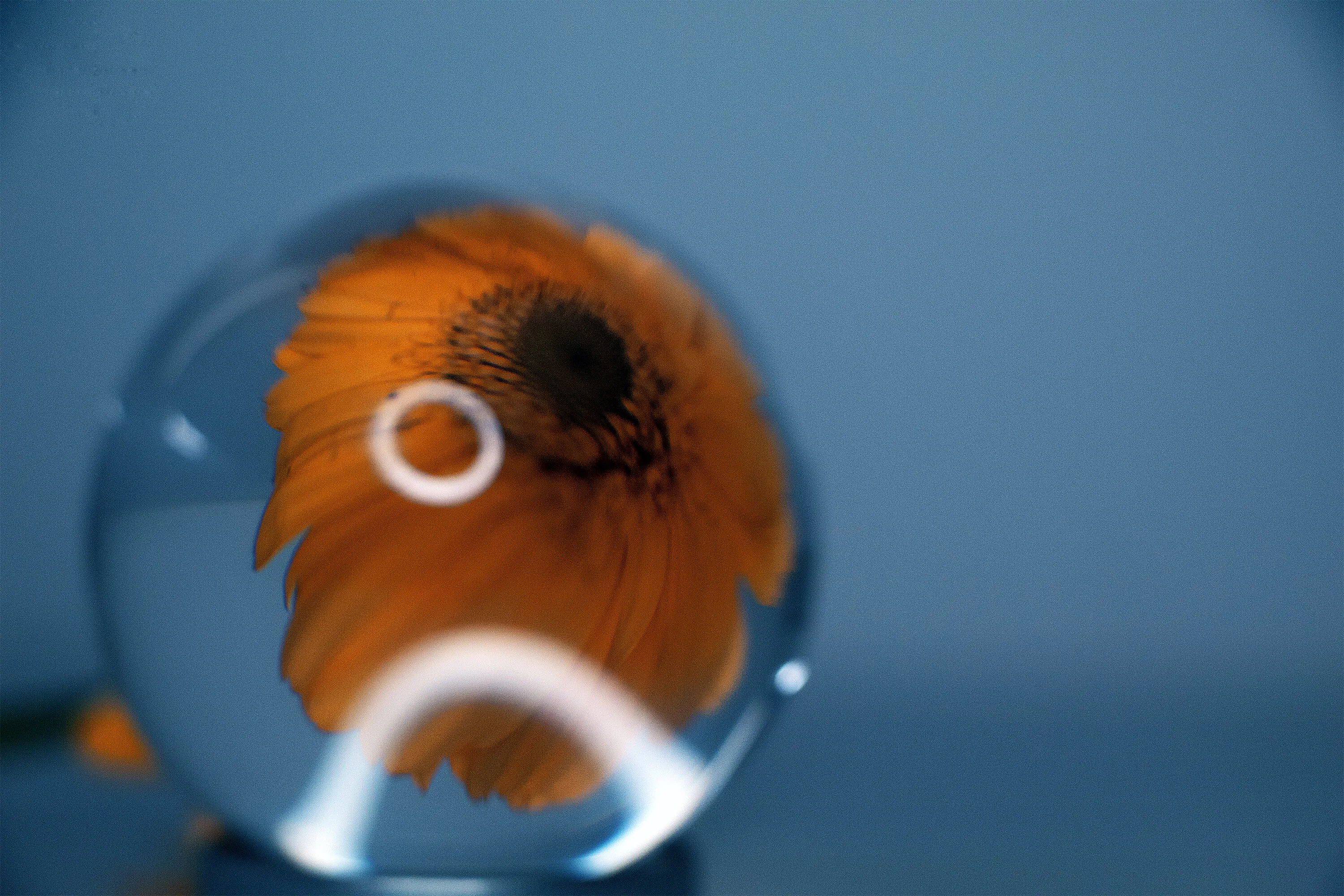 Magnified
