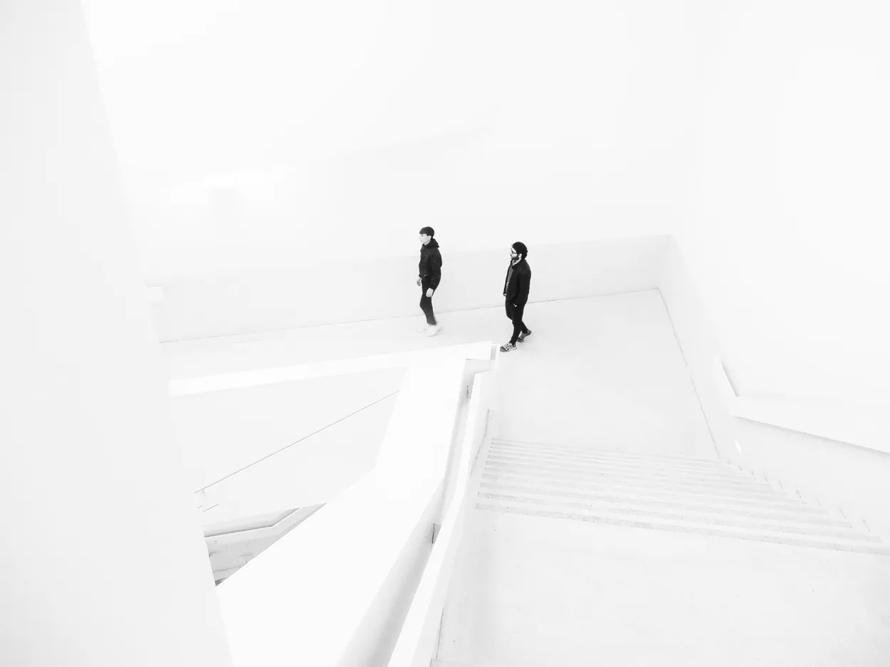 Entry 19269508