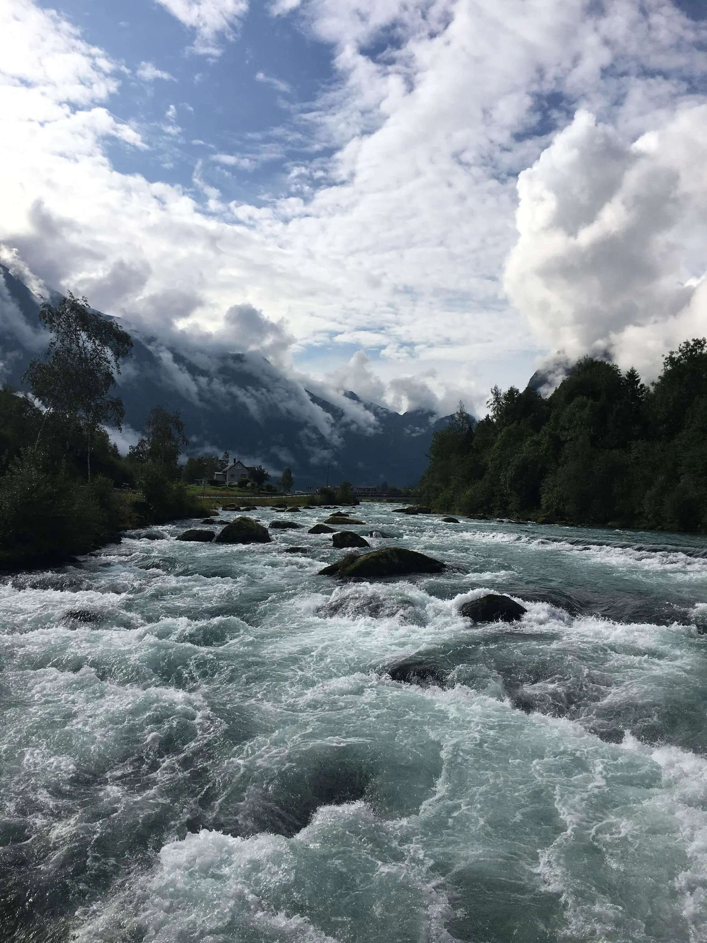 Norwegian Fjord
