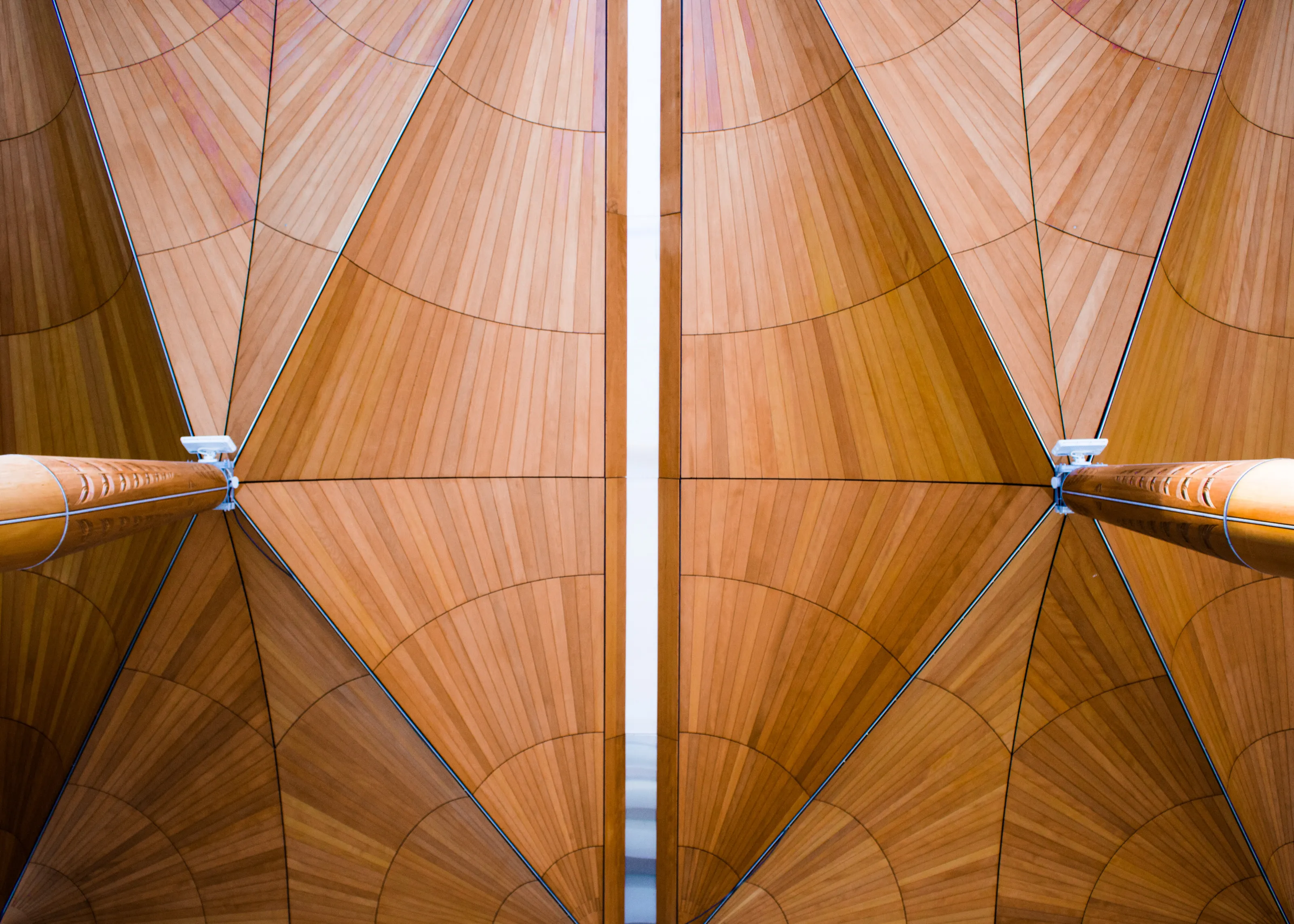 ‘Tree-like’ canopies