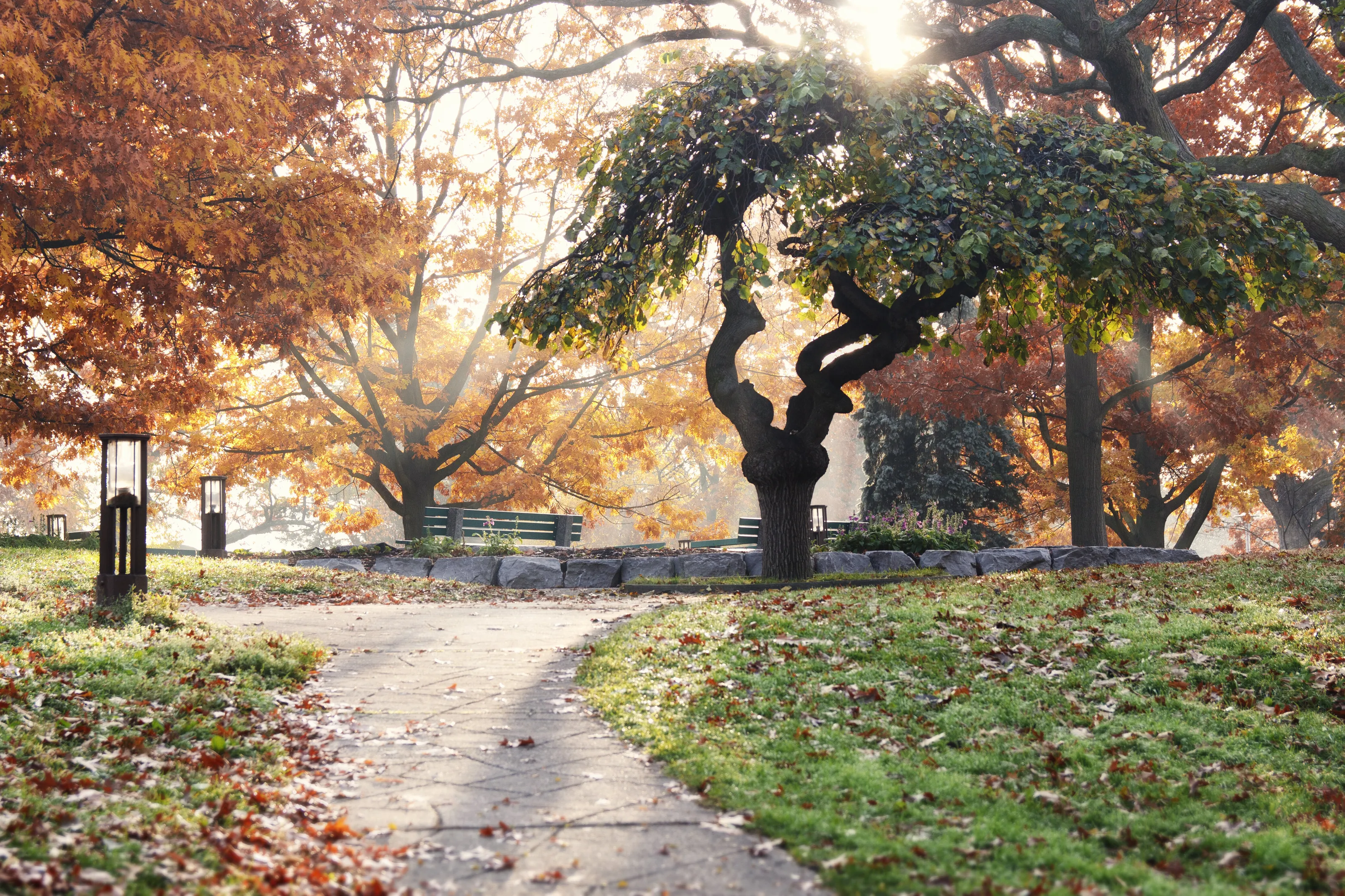 Autumn In High Park