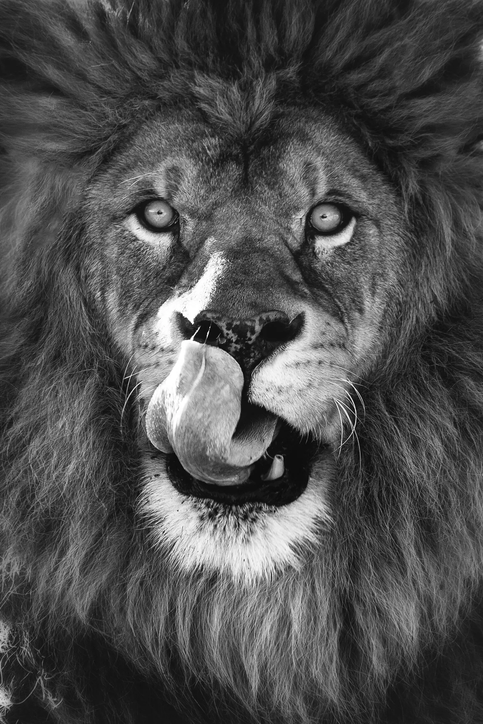 "Lunch"