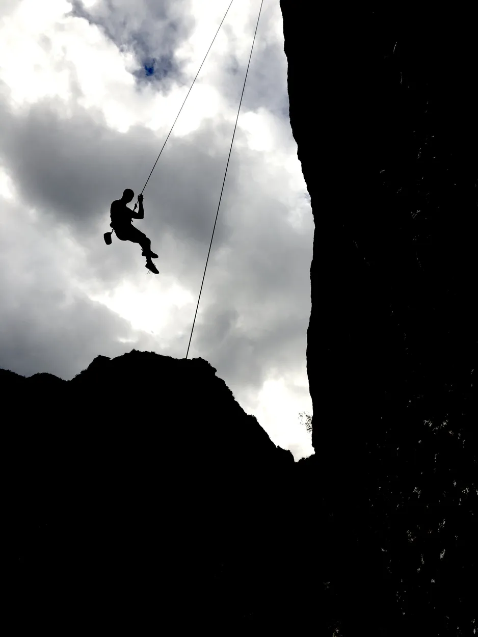 Entry 454386