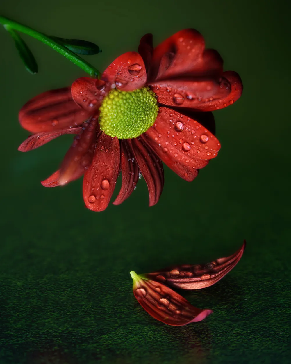 Entry 20105712