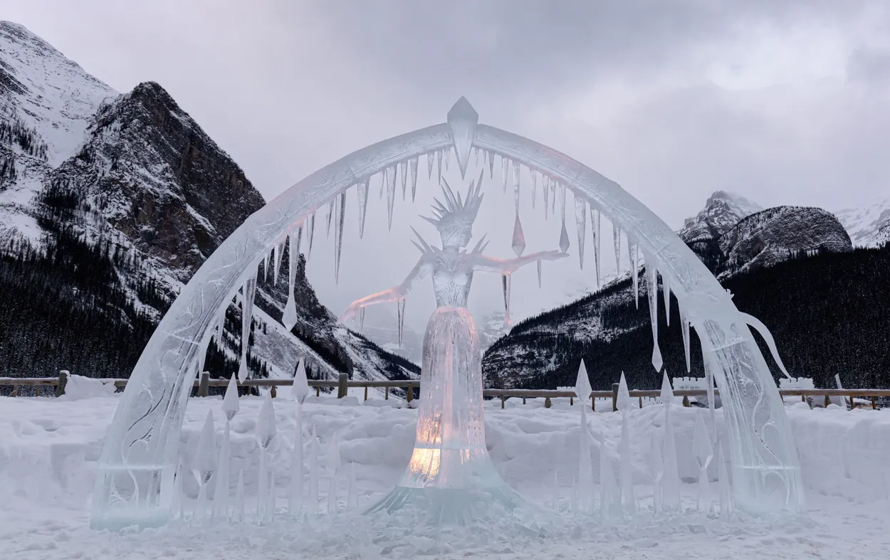 Entry 8484931
