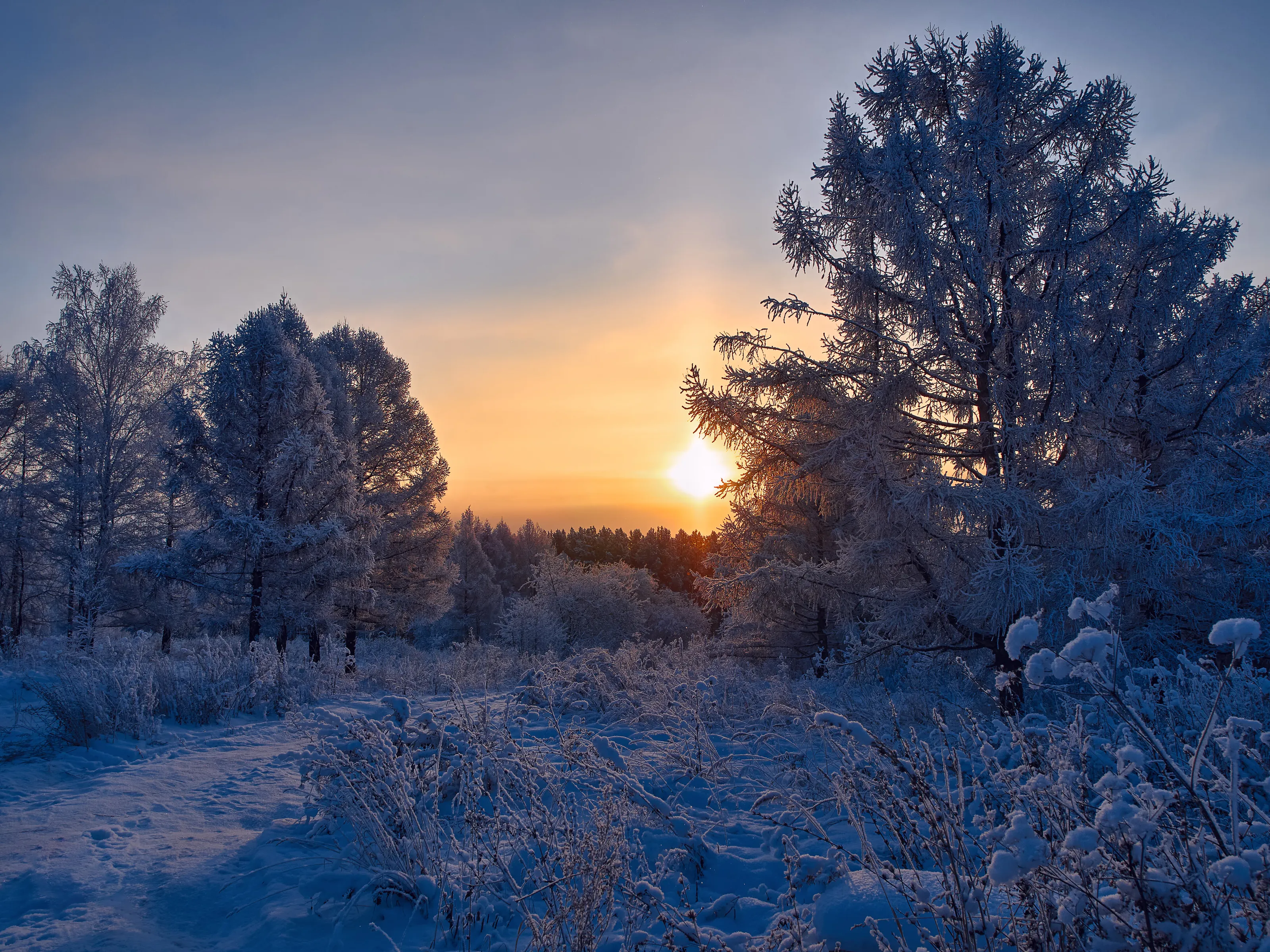 winter sun