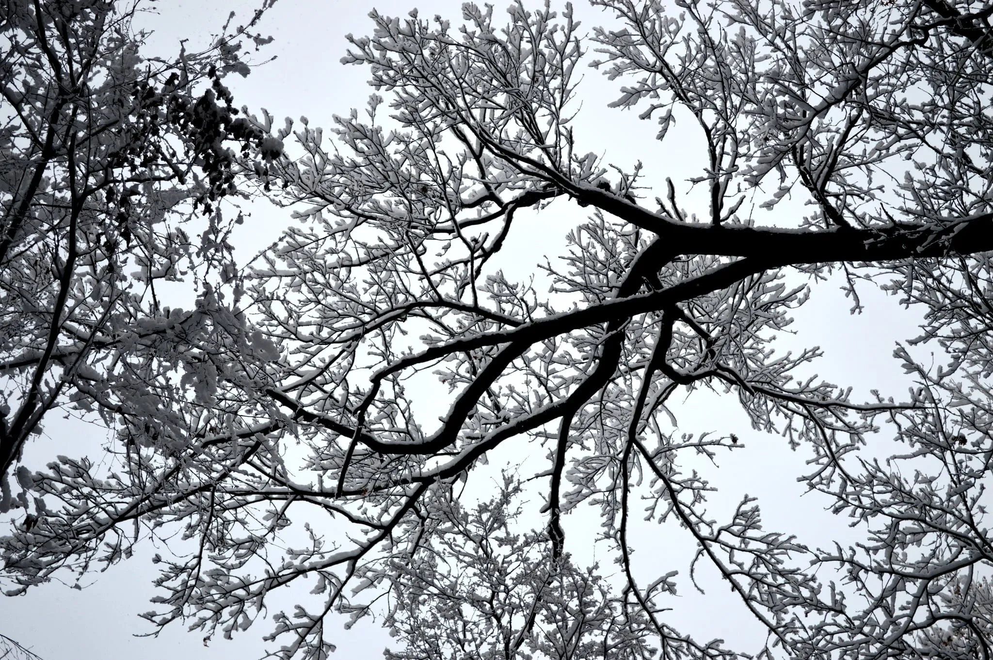 Snowy View from Above