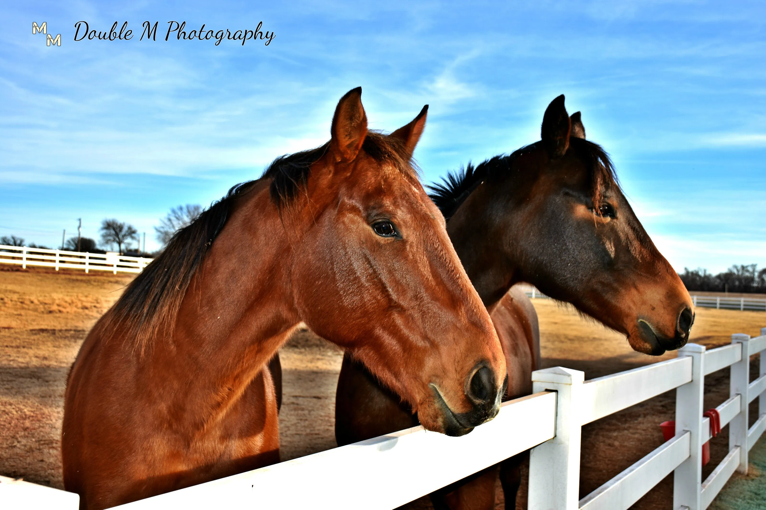 ranch life