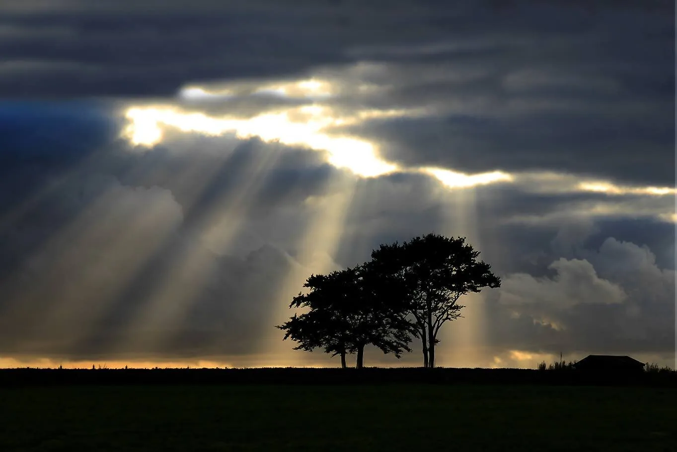 Sunrays!