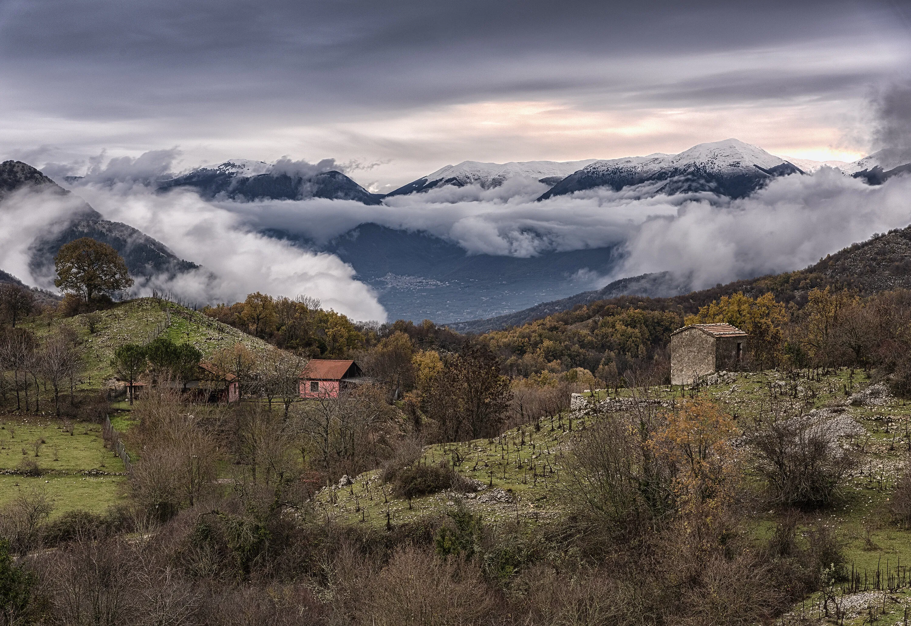 mid autumn