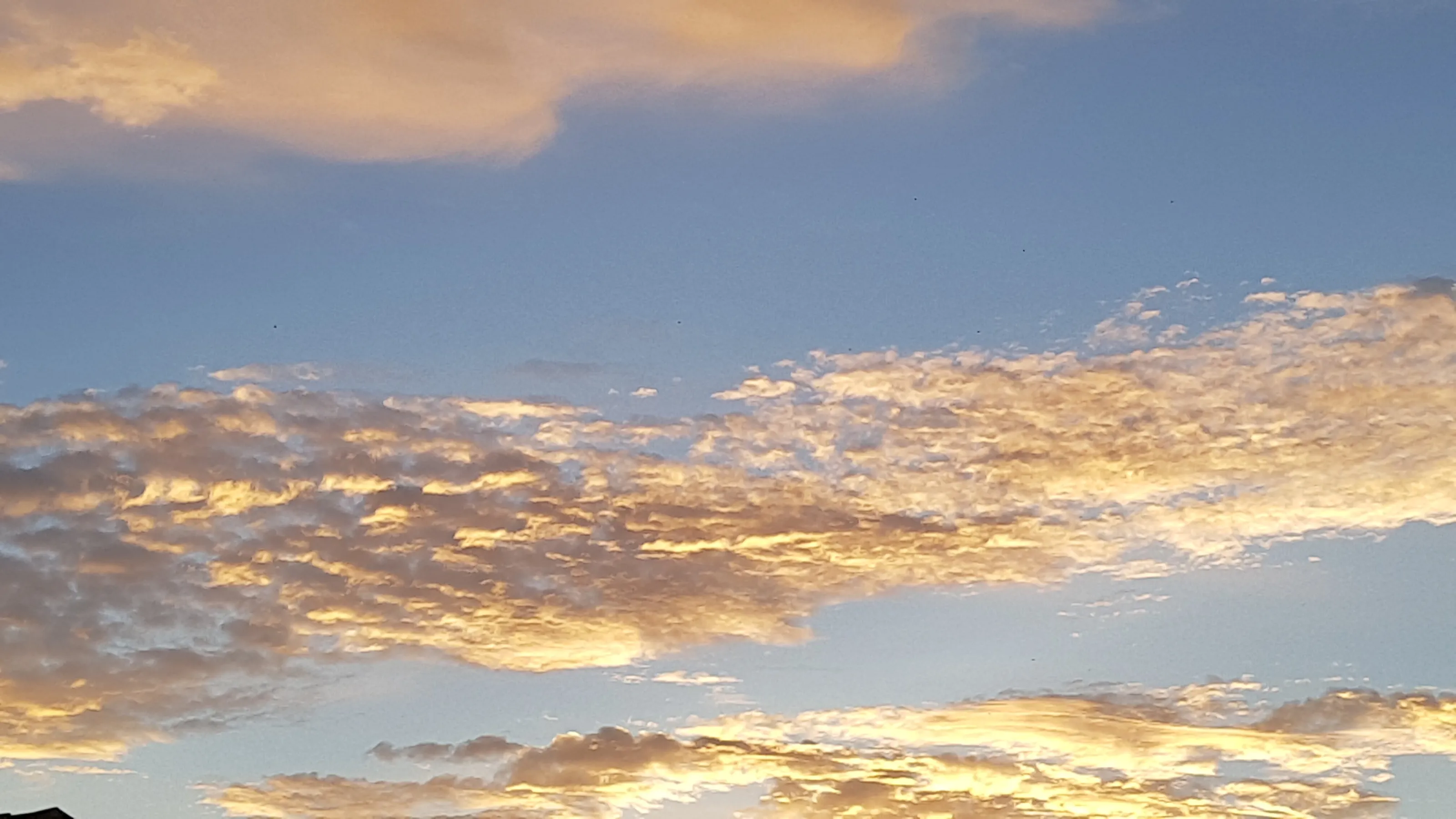 Heavenly