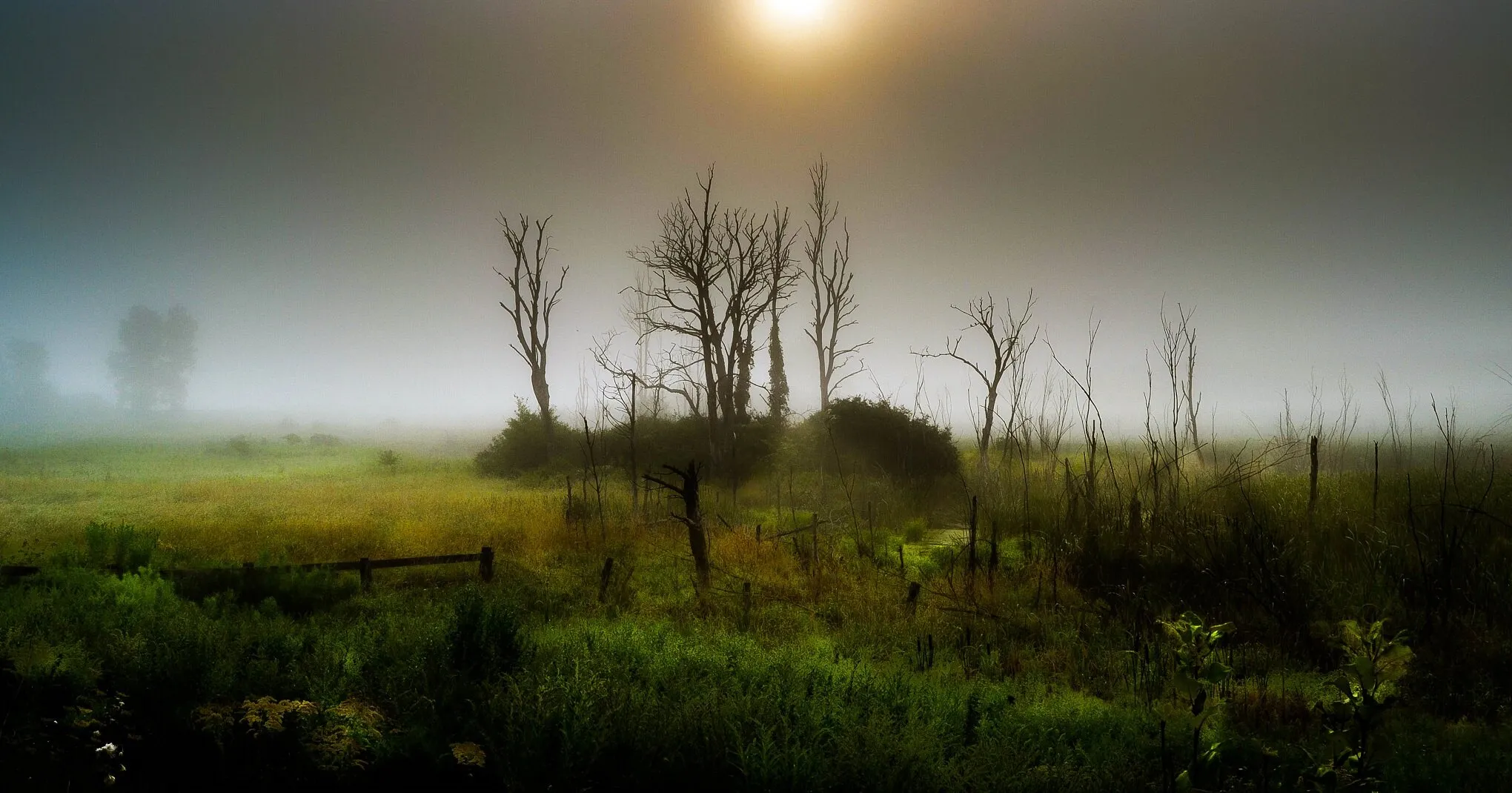 New Day