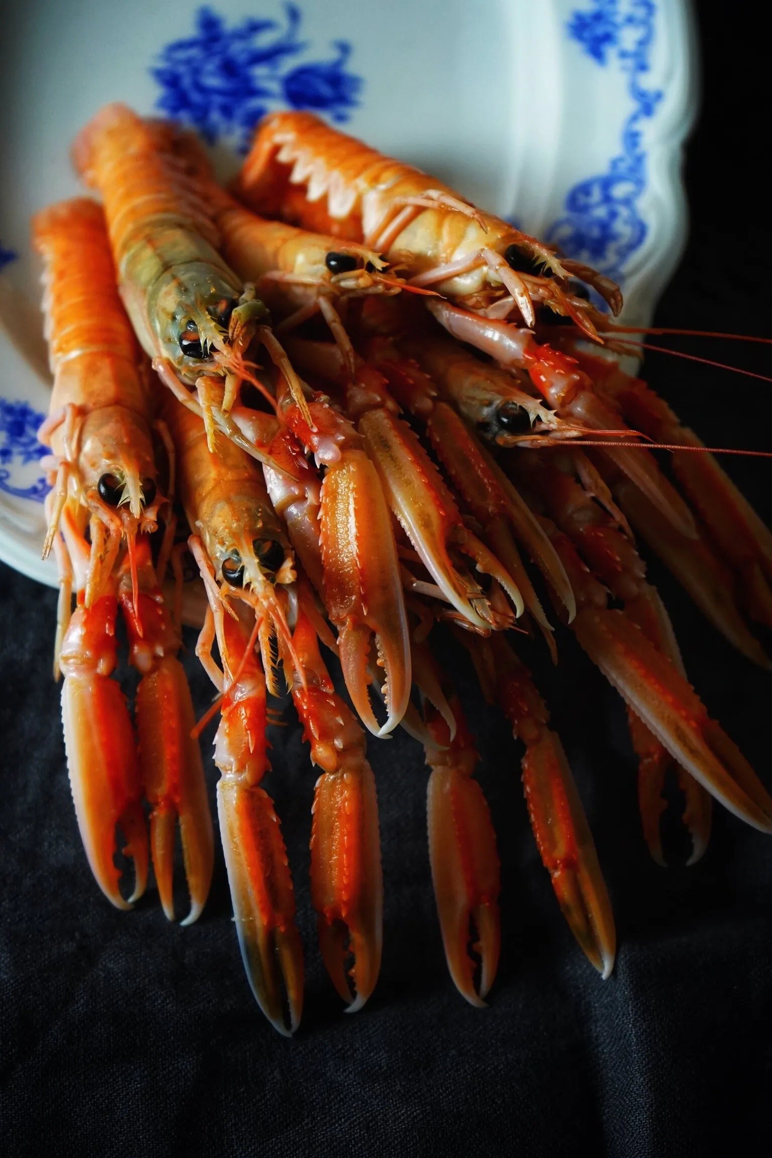 For seafood lovers