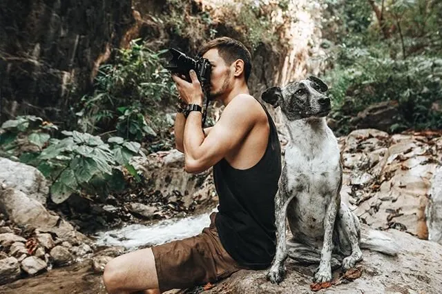 Traveling with dog
