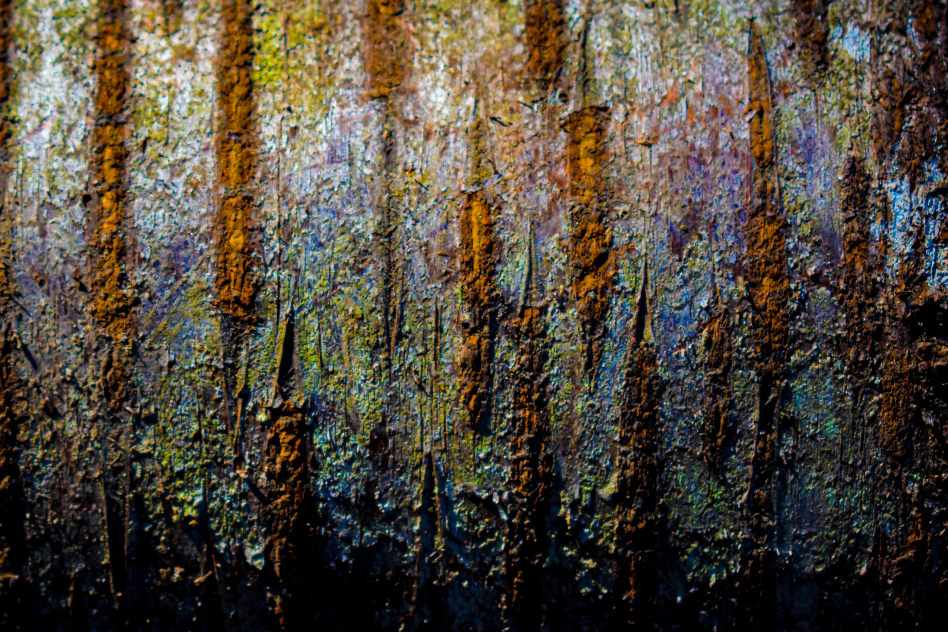 Birch, Please