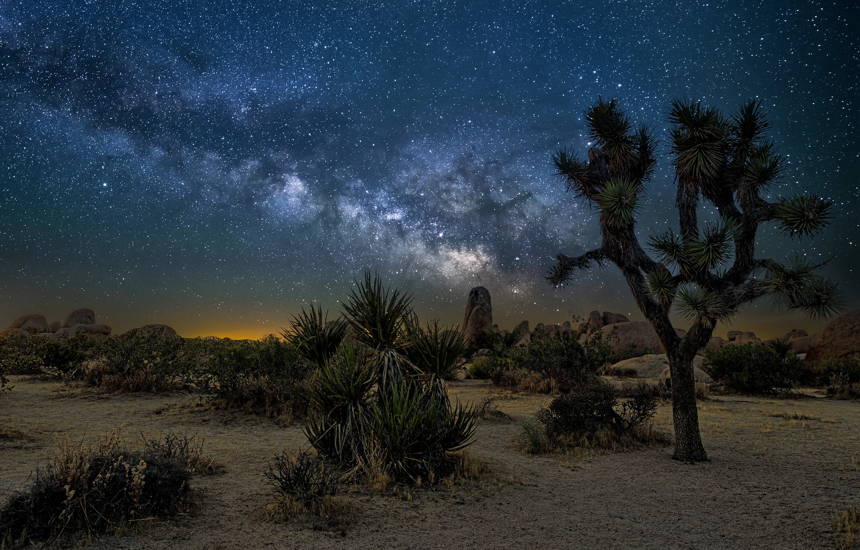 Milky Way over the desert