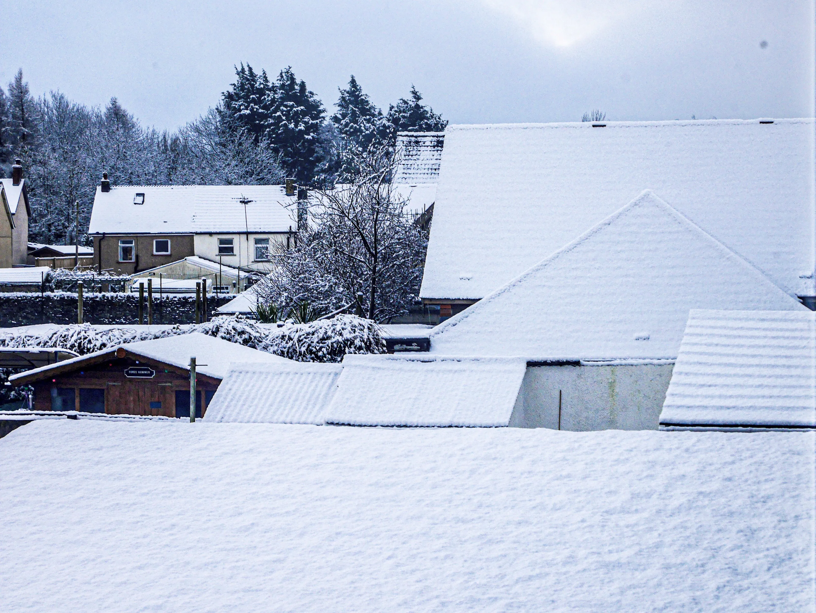 WINTER JANUARY 2021