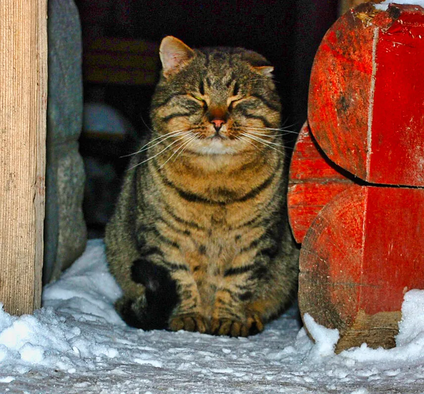 Entry 8547943