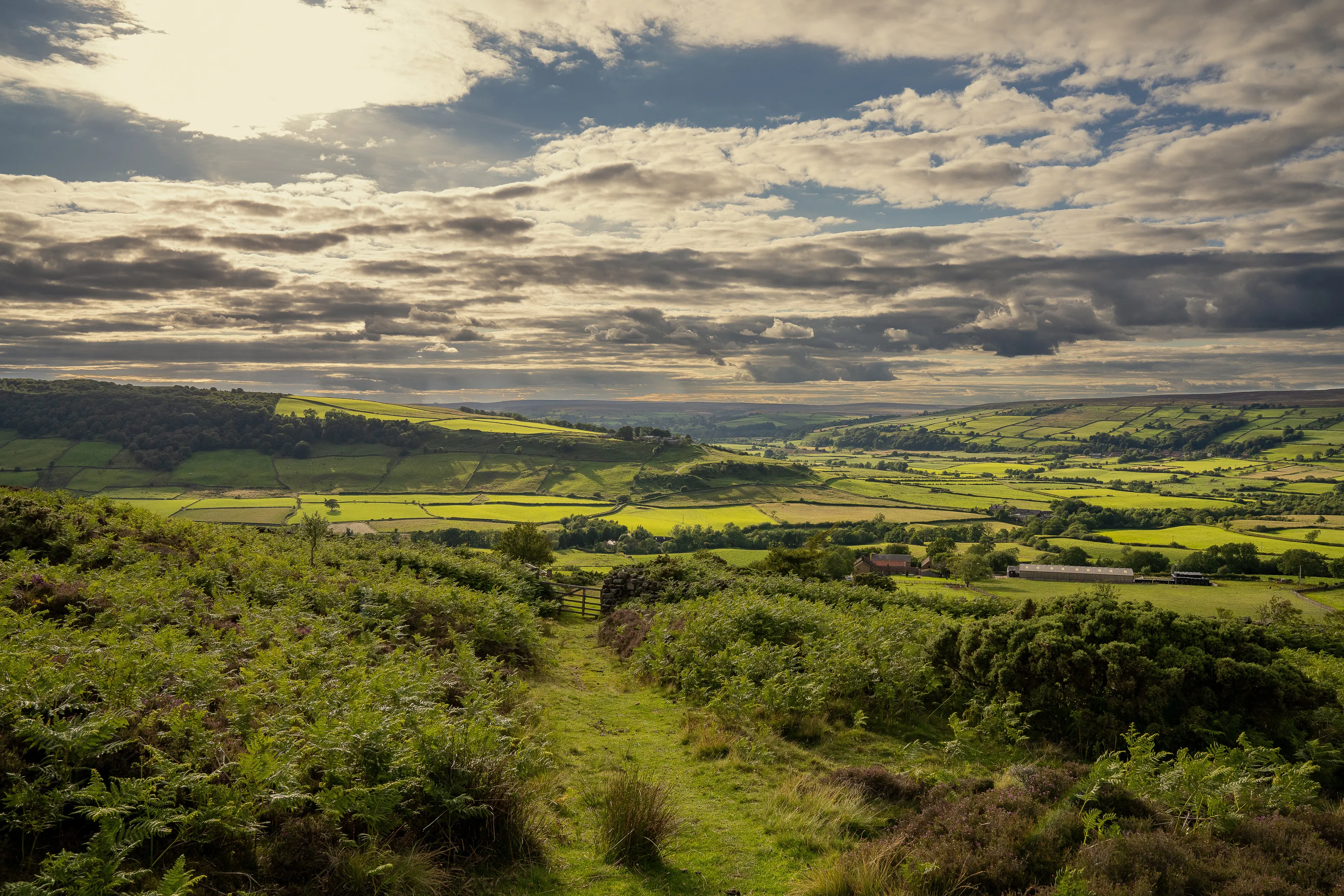 North Yorkshire Moors
