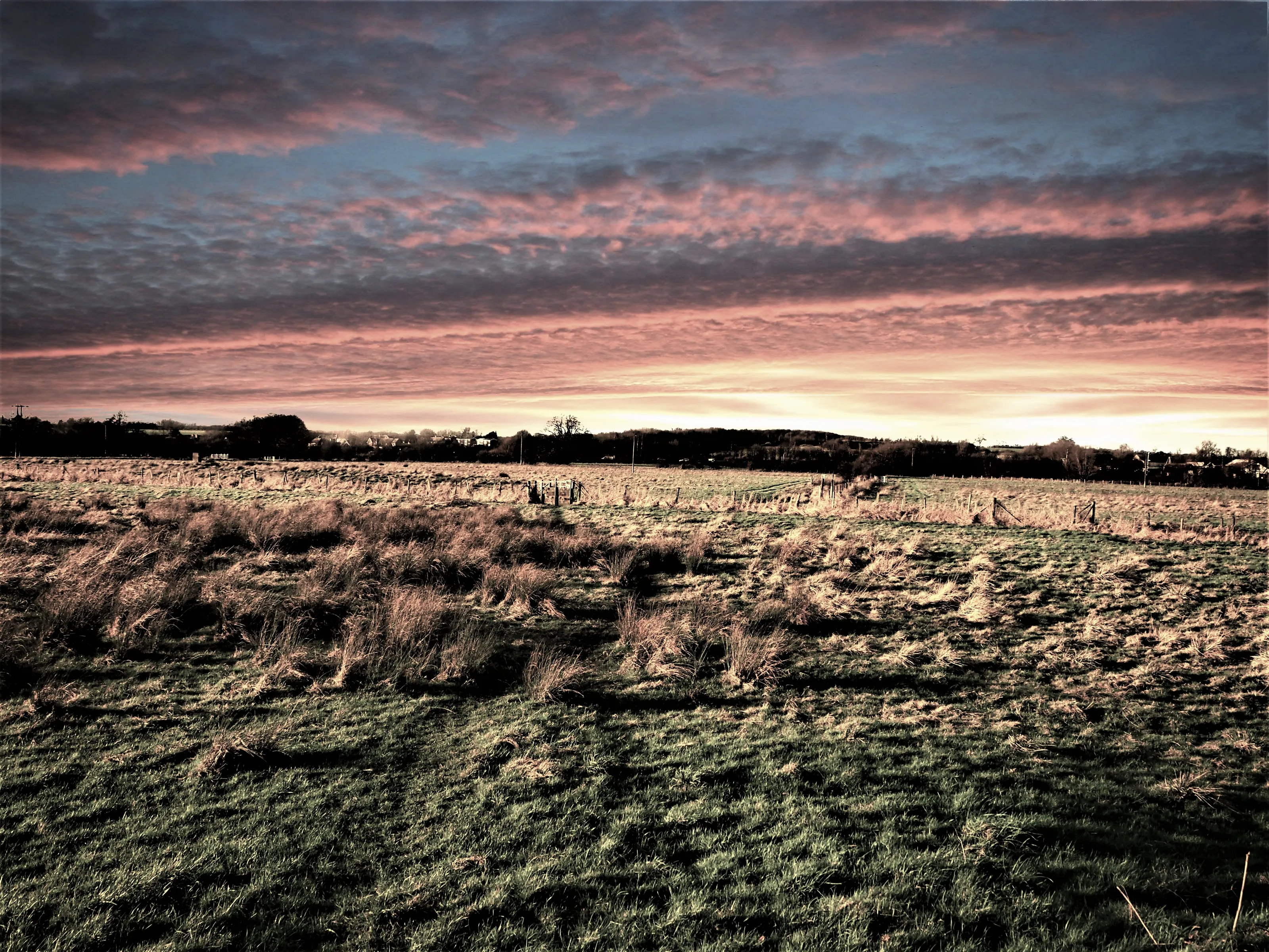 river stort fields