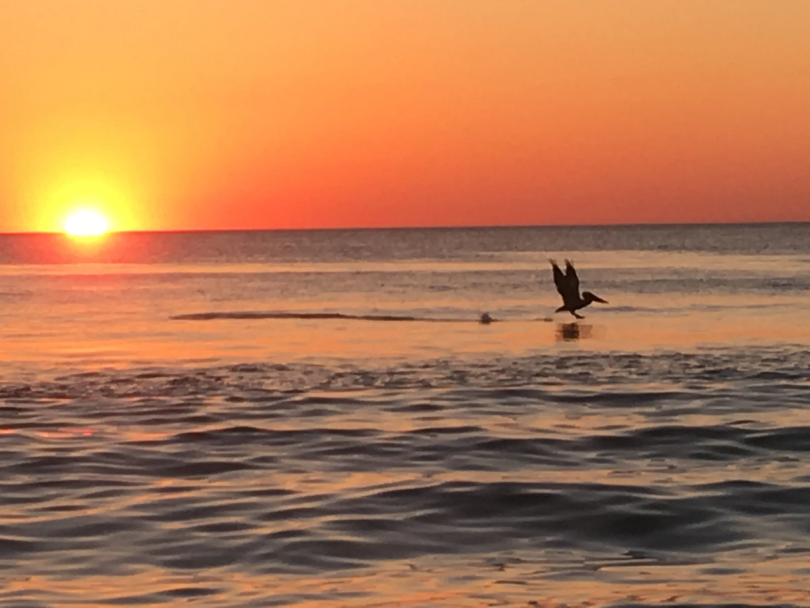 Sunset in Paradise