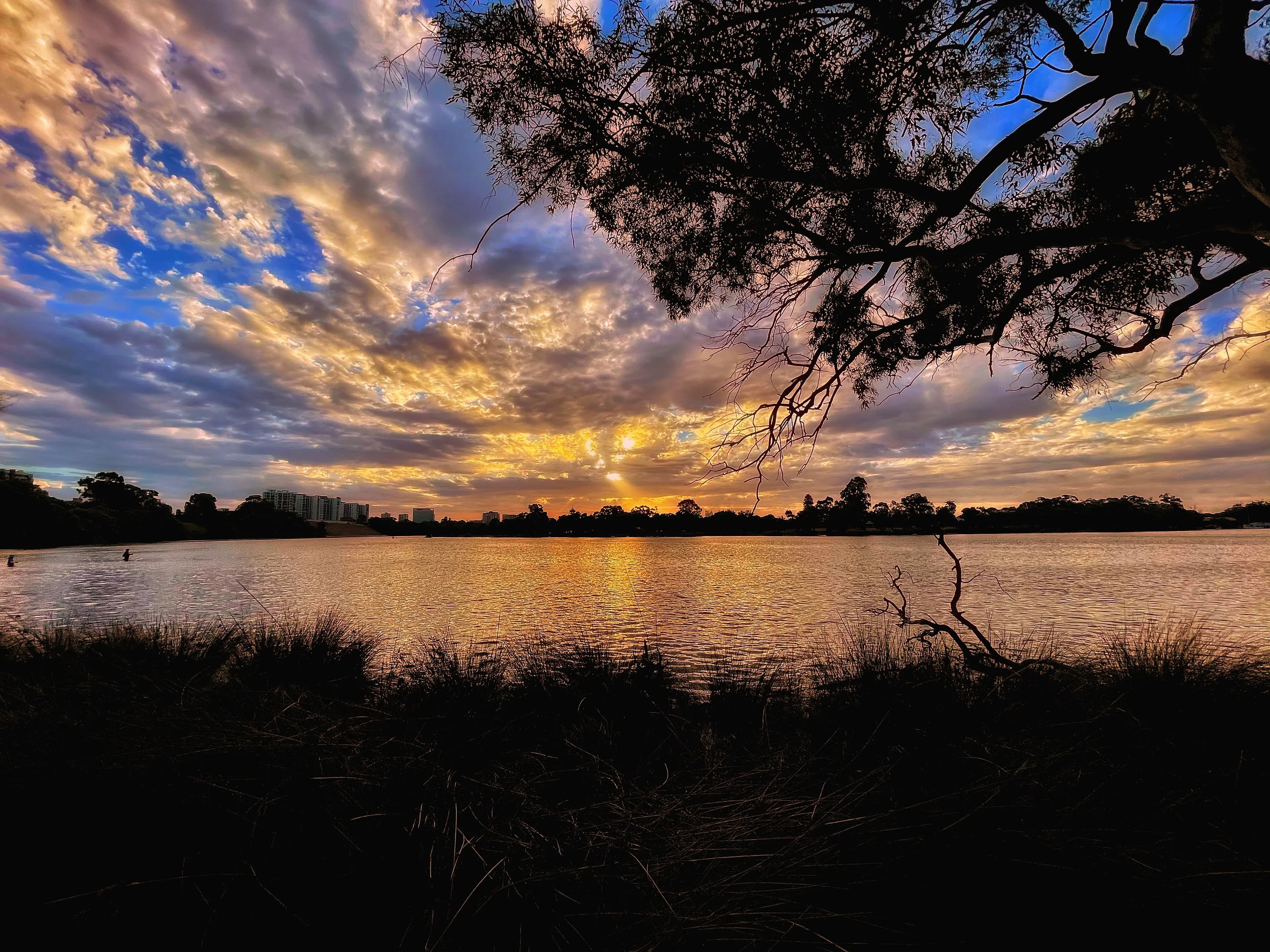 Perth sunsets! Golden hour!